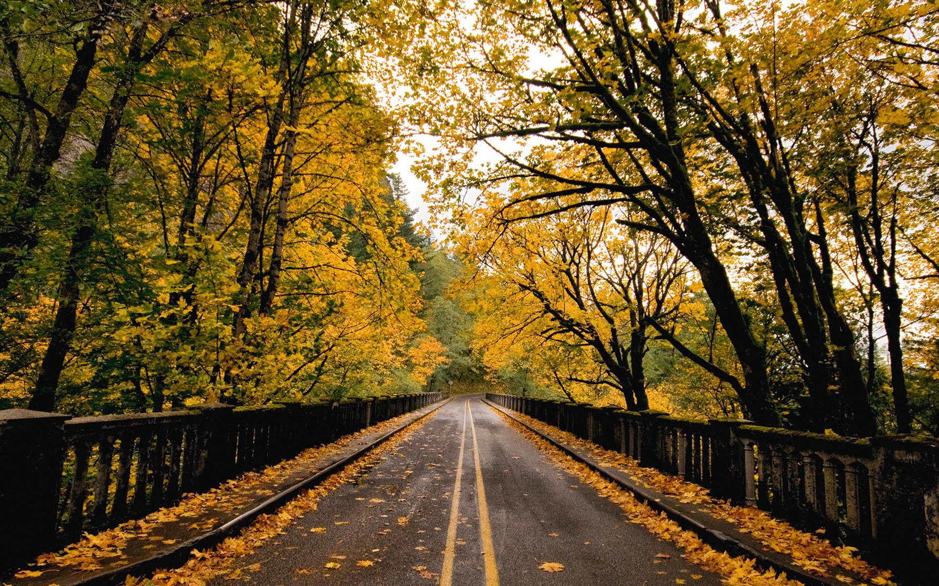 我可以完成500字的知乎、微博、小红书等渠道的产品宣传文案的编写