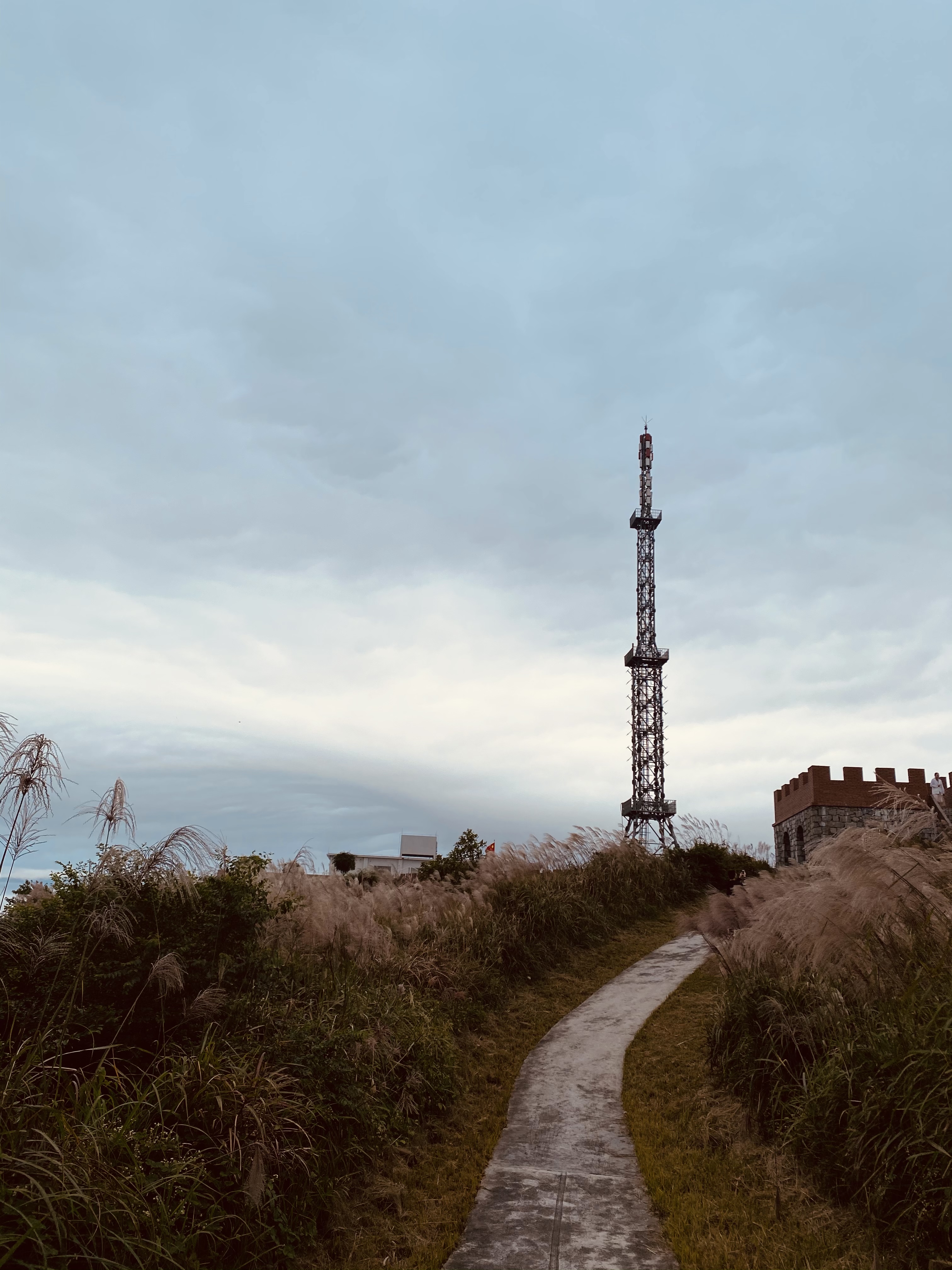 我可以提供15分钟专业育儿，产后修复，新手妈妈，早产儿妈妈育儿咨询，