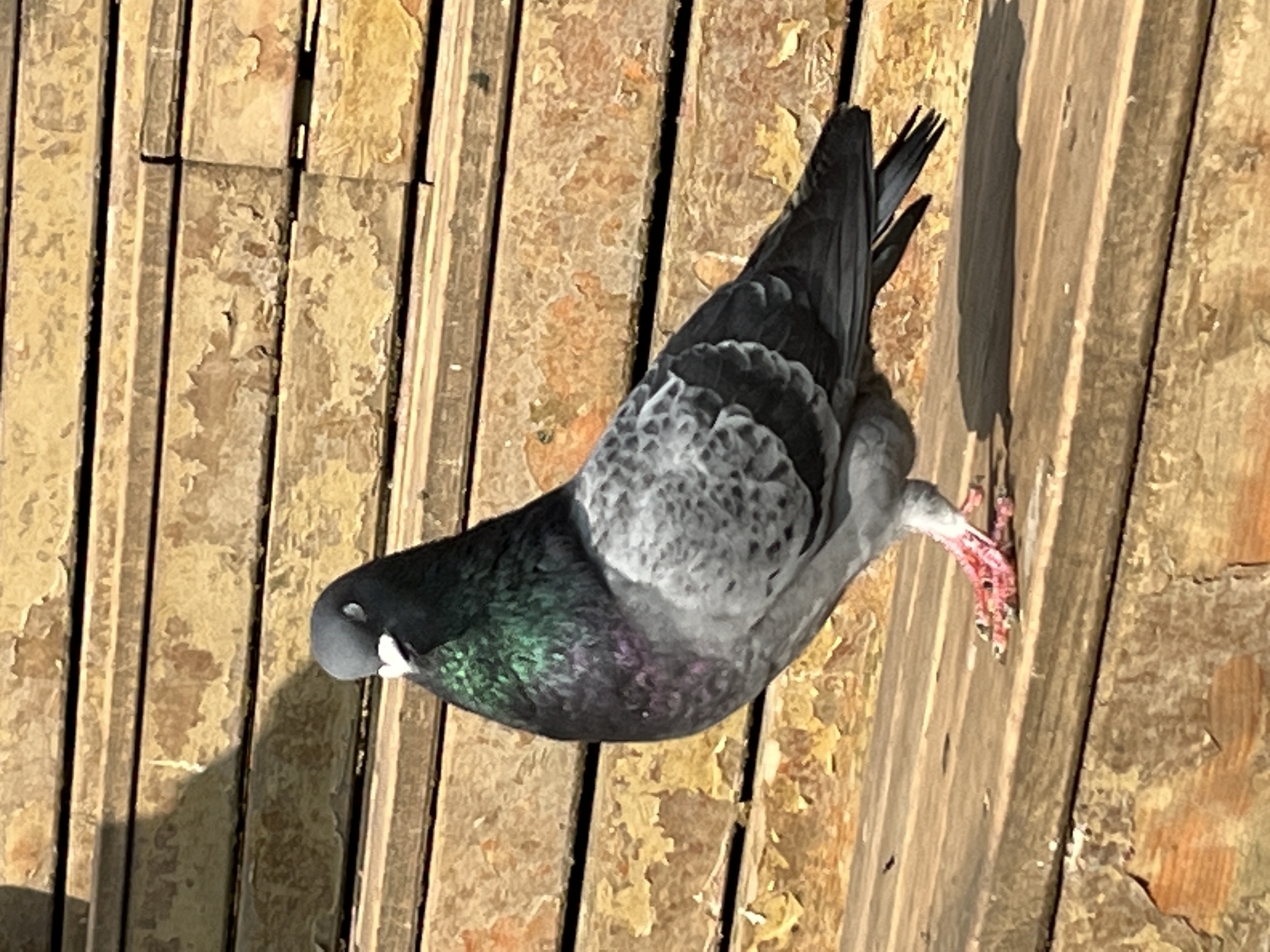 我可以提供1篇外貌及穿搭建议