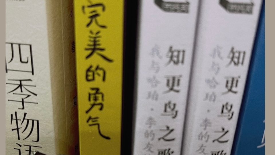 我可以朗读一篇课文、故事书