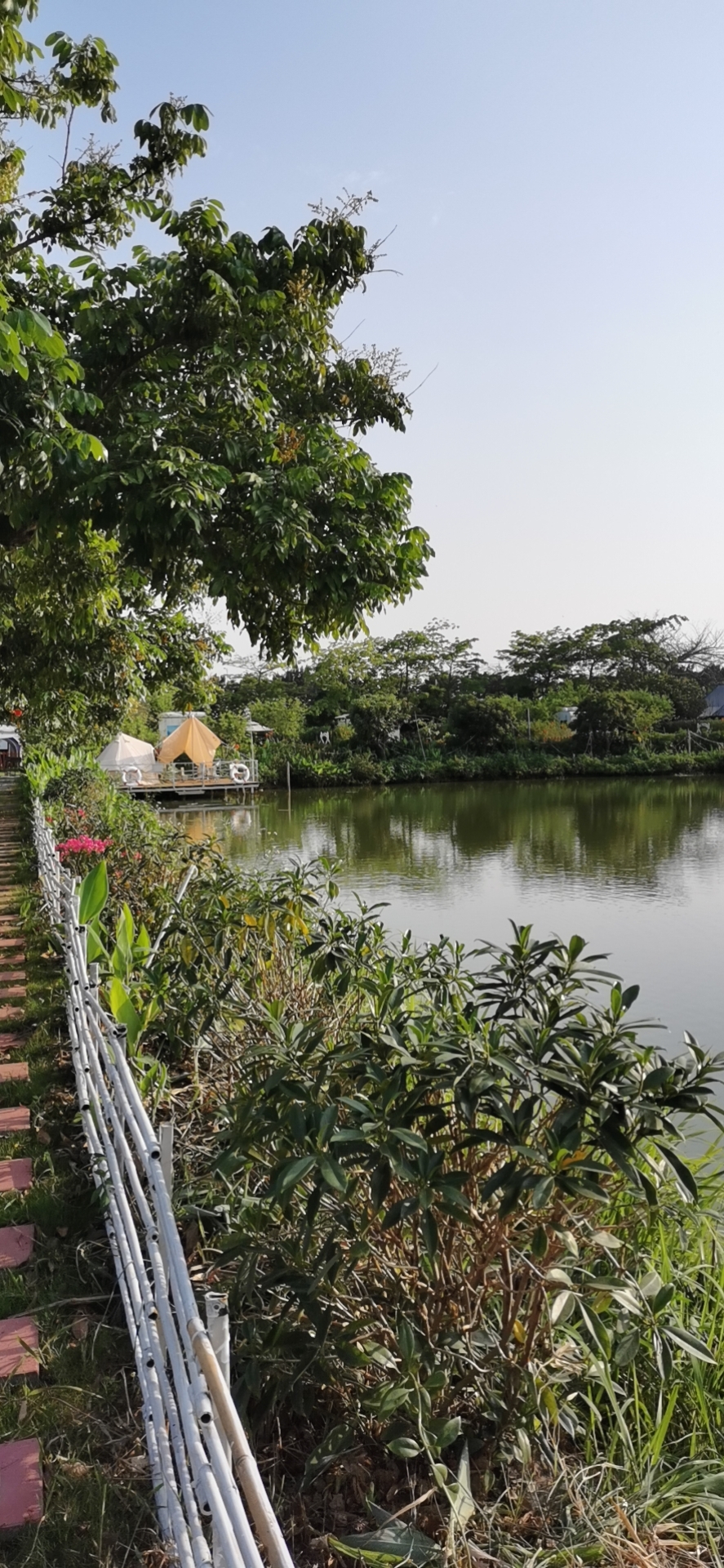 我可以完成一个苦力杂烩的事