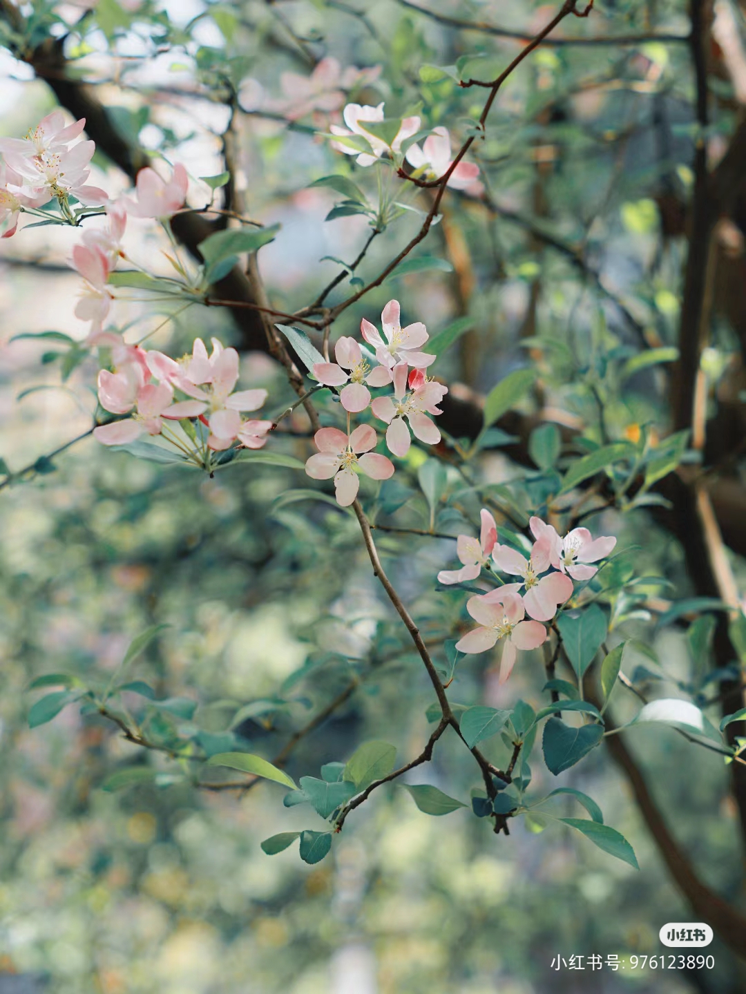 我可以做你的一次树洞，让你心情舒畅；也可以做你的一双手，代你写出优美词汇