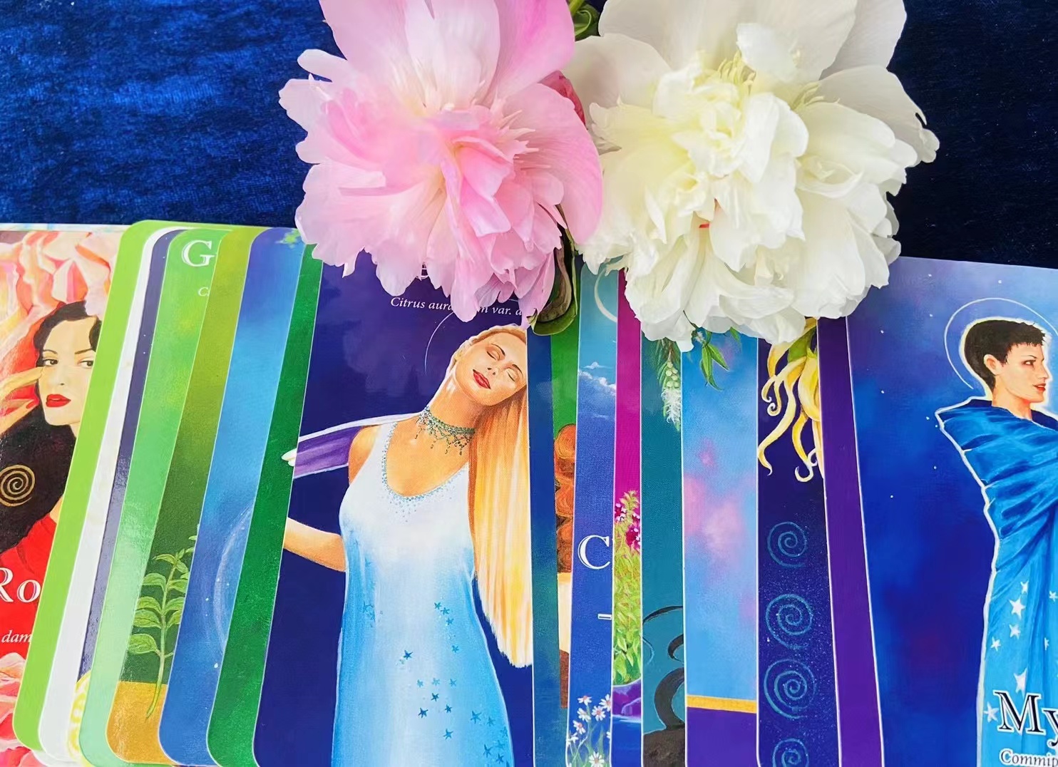 我可以塔罗占卜一个爱情或事业问题