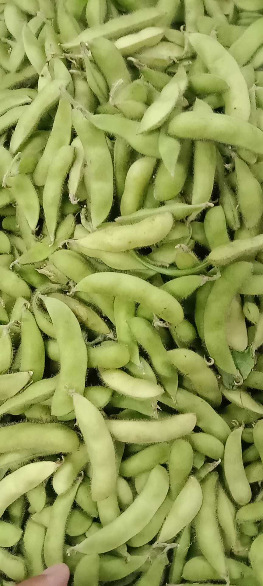 我可以叫人起床啊，十分钟