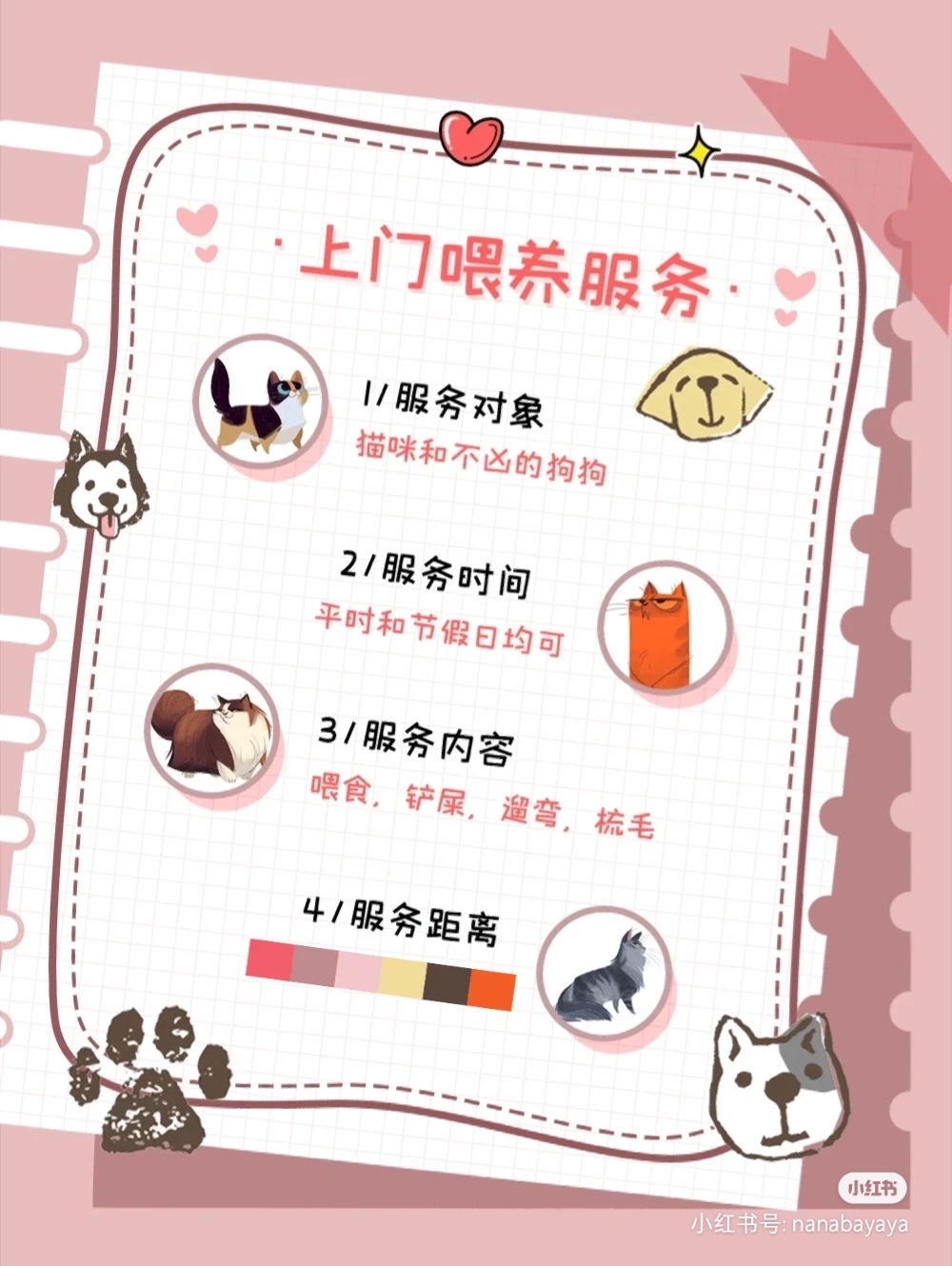 我可以喂1次猫，遛1次狗