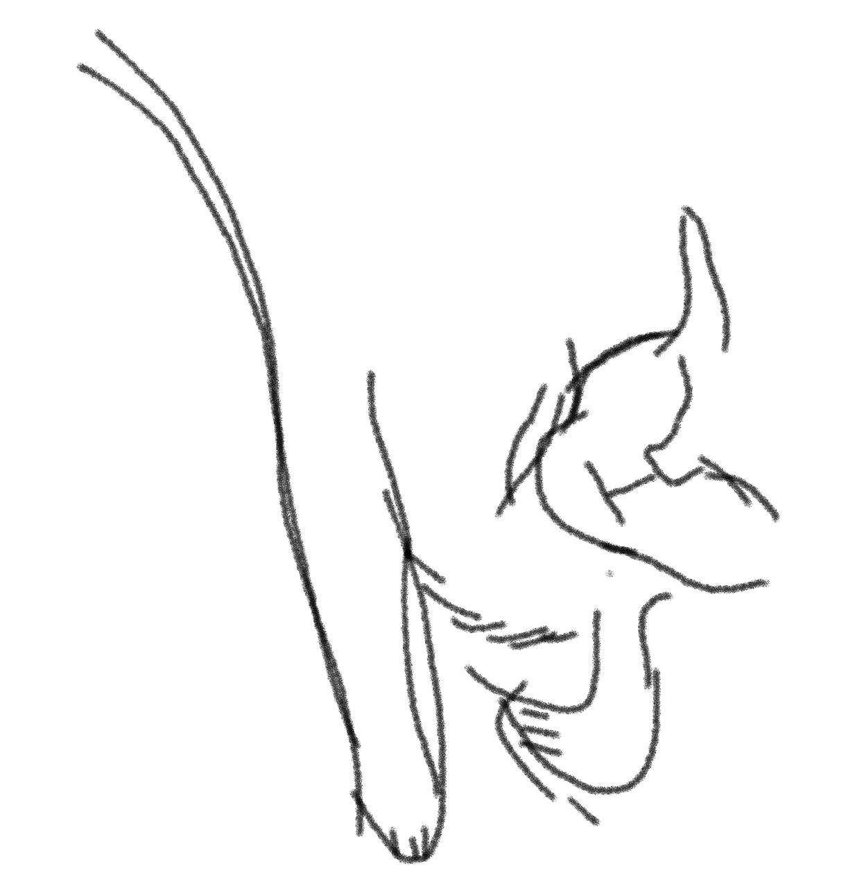 我可以心理学专业聊天30min