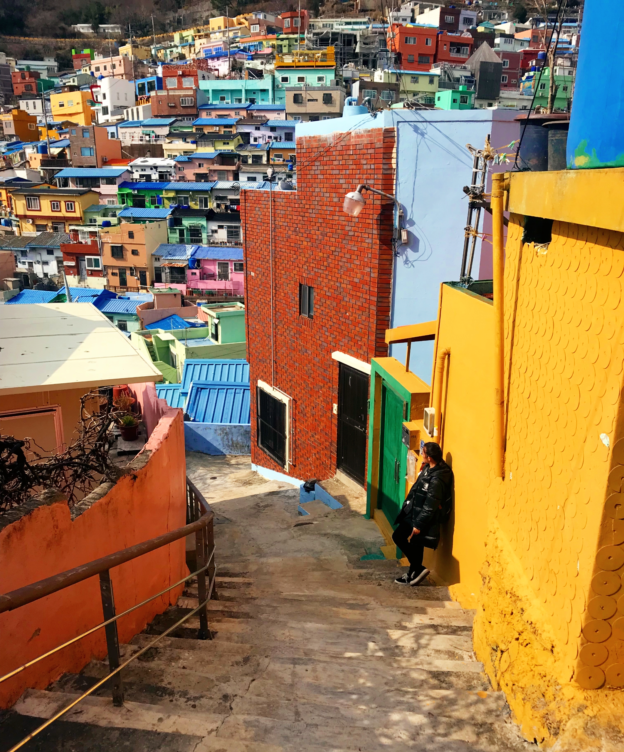 我可以为您定制一套旅行计划