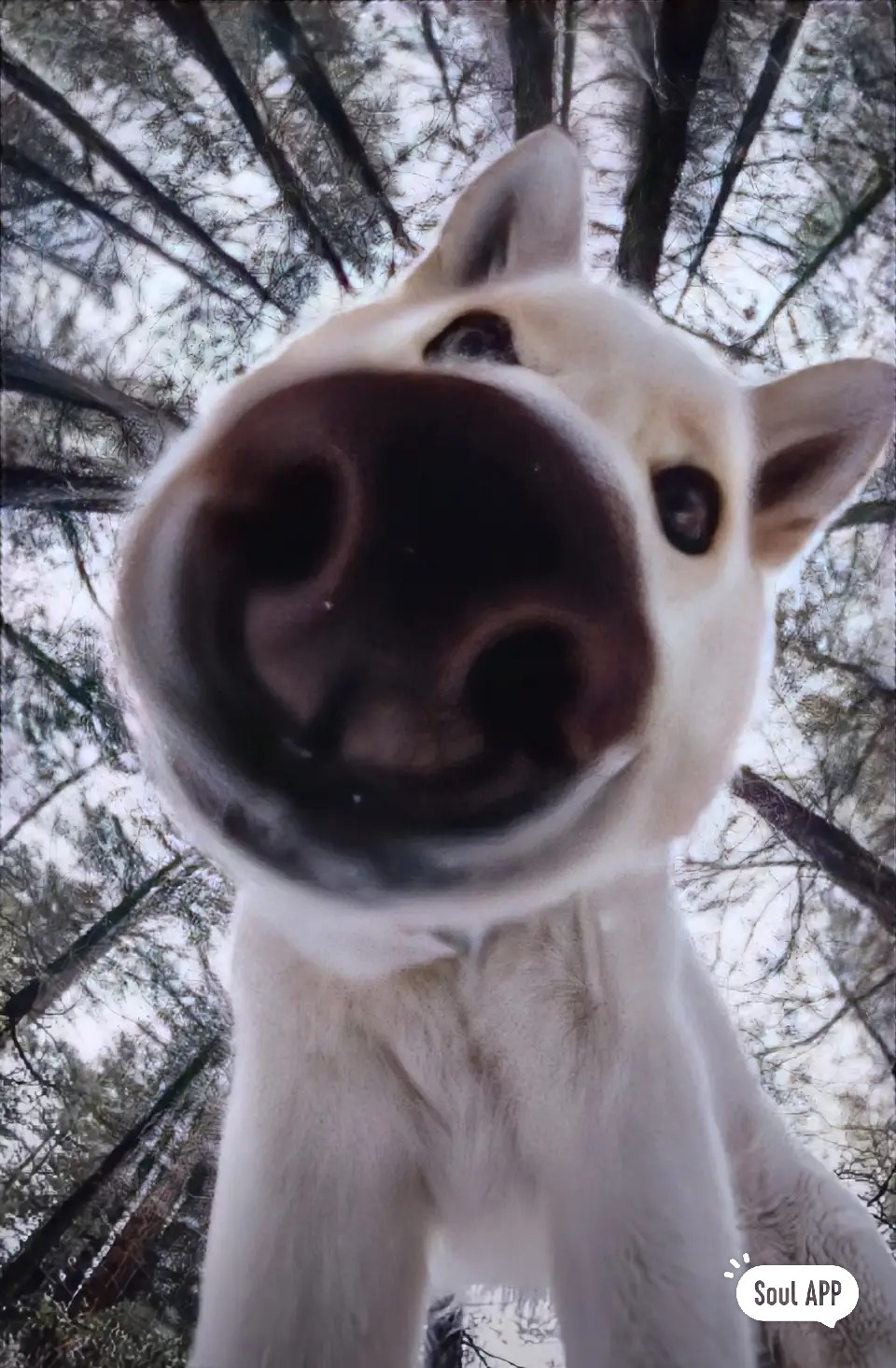 我可以做数据分析报告1000字以内，处理百万量级数据