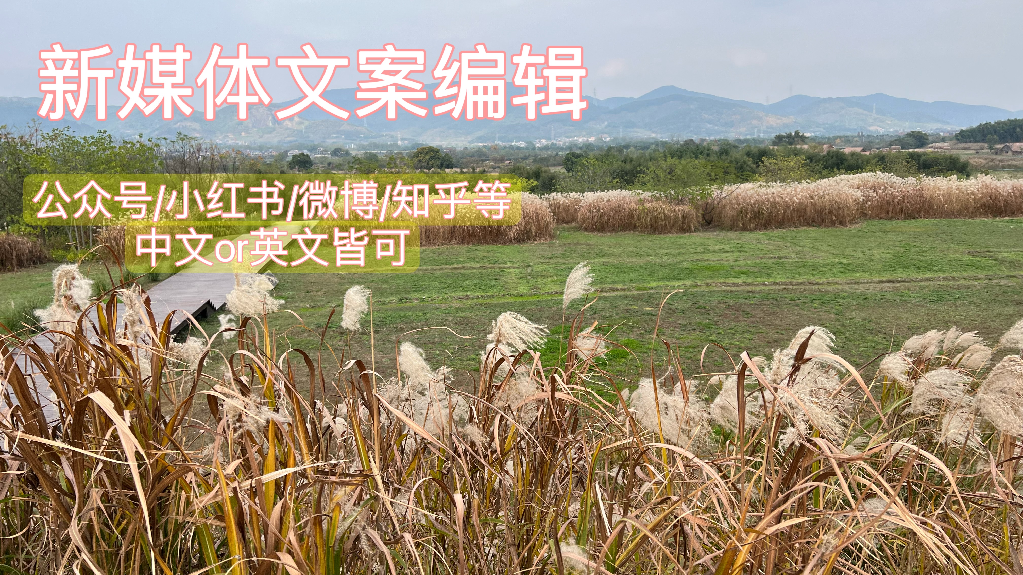 我可以完成一篇50-800字文案，可定制小红书/知乎/公众号等渠道