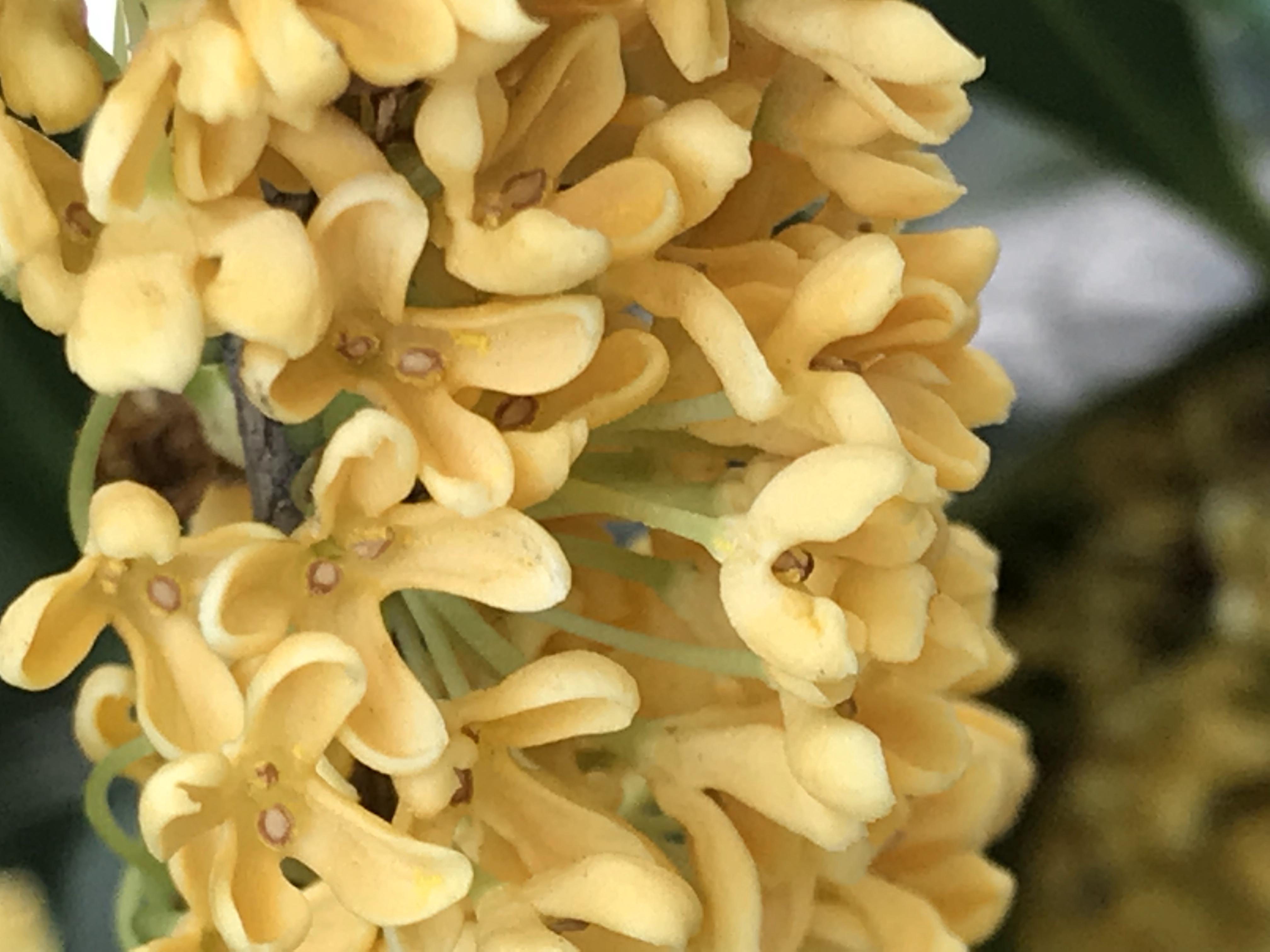 我可以1天能出短视频剪辑和拍摄