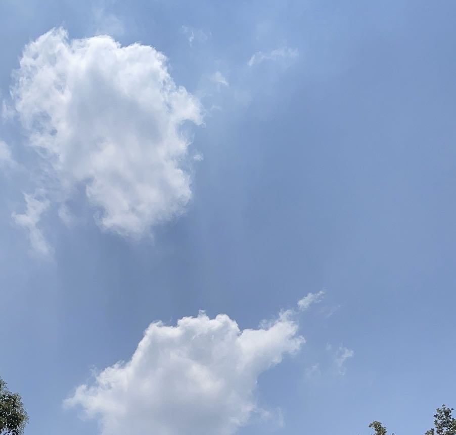 我可以500-1000字的文案编辑、翻译