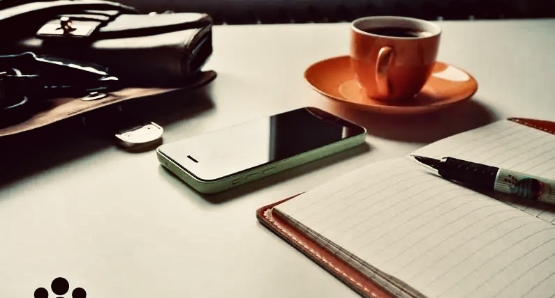 我可以完成多角度丰富优美的英中/中英翻译作品，能够撰写有市场吸引力的1000字市场文案