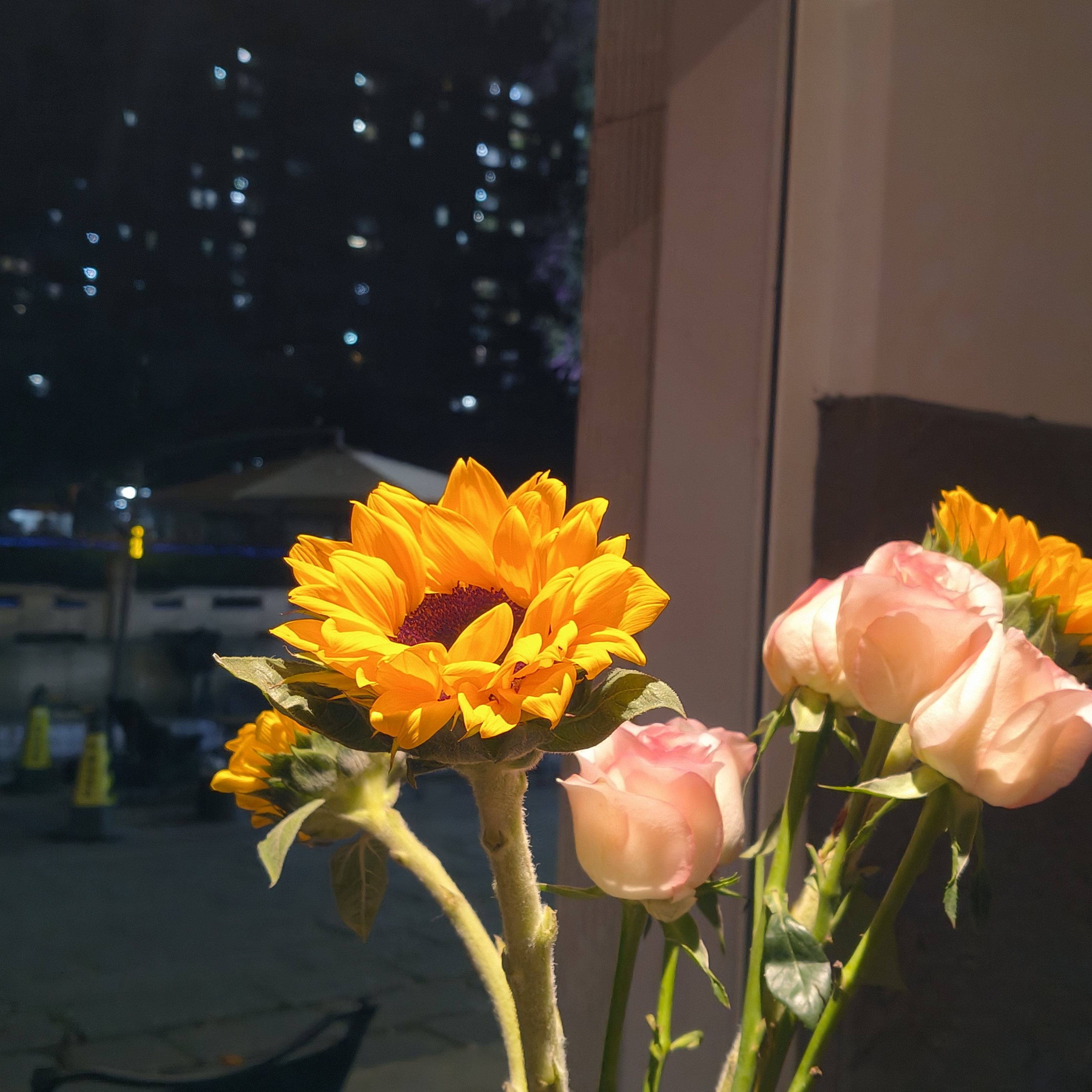 我可以文案编辑、文案翻译、视频配音，文案3000字以内