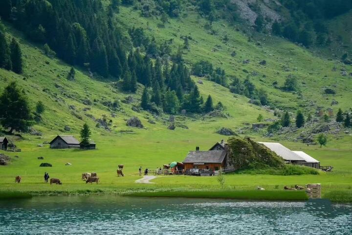 我可以用粤语和英语完成1天的工作