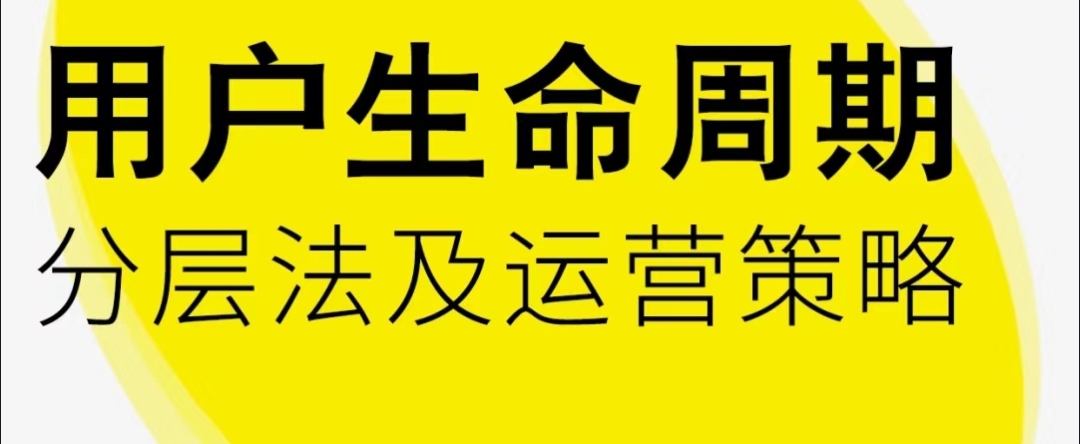 我可以完成用户生命周期体系的搭建，数据指标的构建，交付方式为1000字以上文档