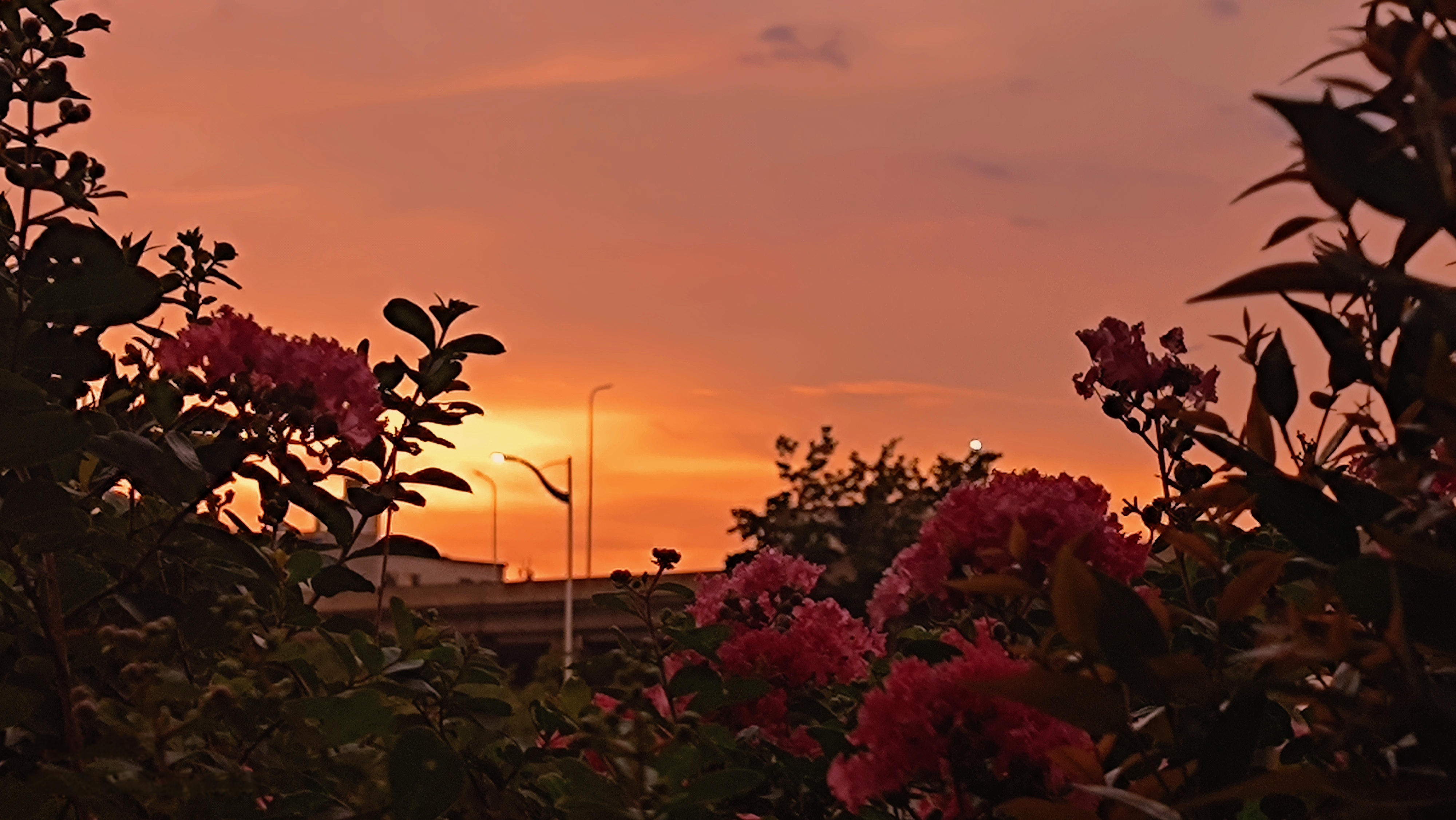 我可以10-200文案写作，文案翻译，视频剪辑，体育网站内容，监督作业，帮写作业