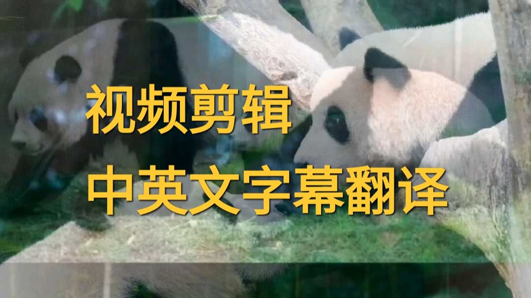 我可以剪辑15s及15s以上视频，包括添加字幕，音效，特效 卡点效果，给视频写脚本