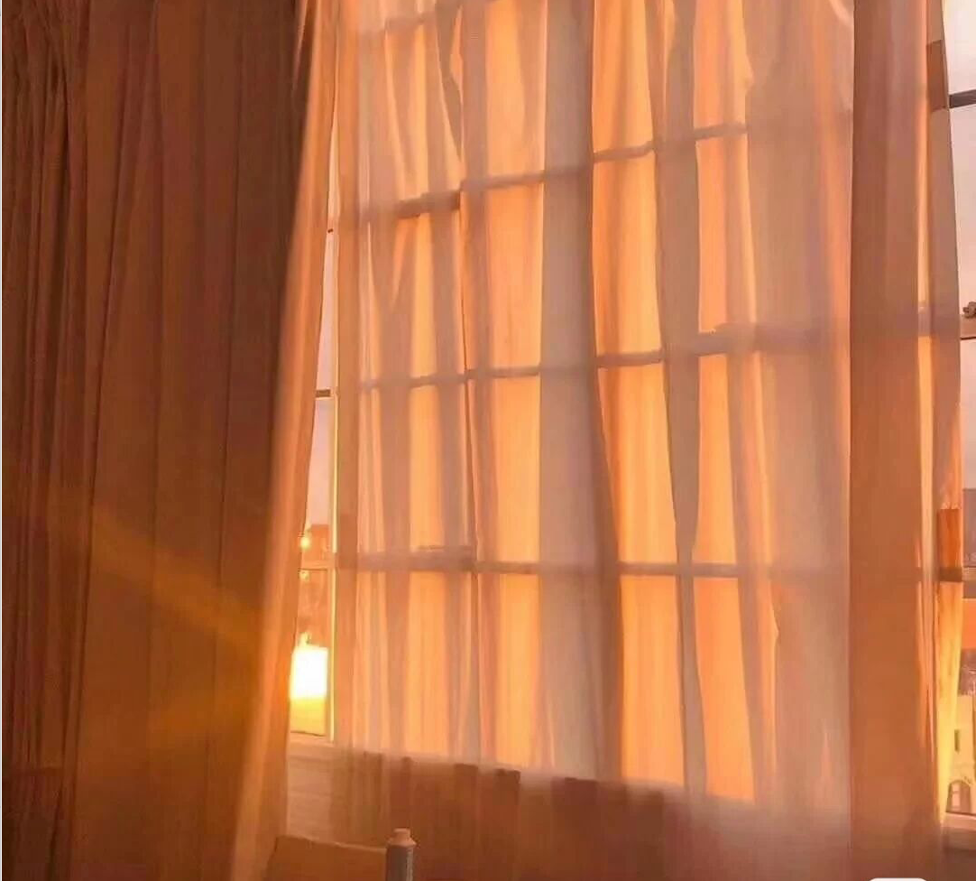 我可以做成Web网站后端开发，等一些其他杂事