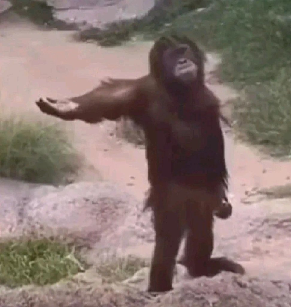 我可以根据题目撰写1篇文案，一段文章小说，不仅限于此