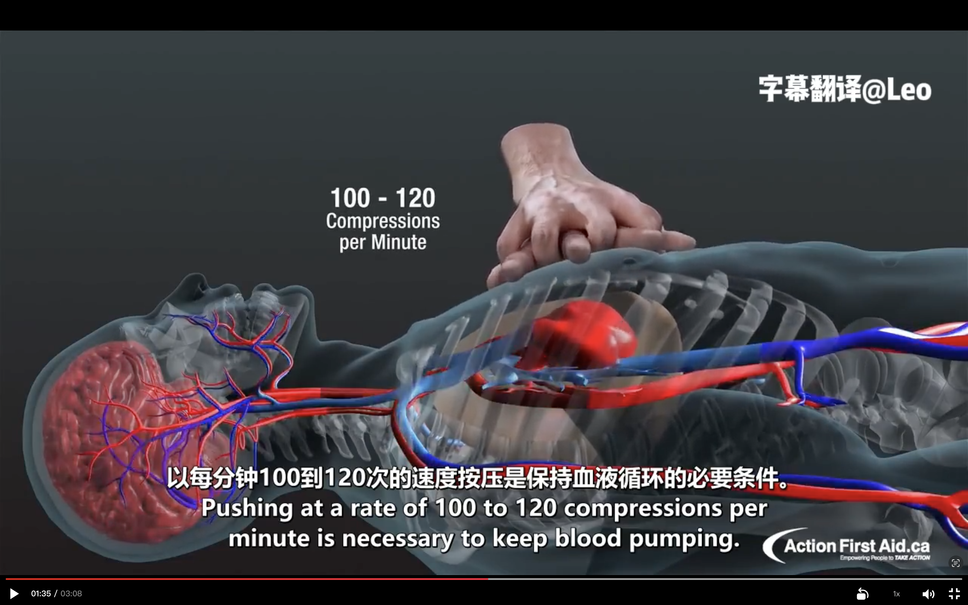 我可以提供3-20分钟的英文视频添加双语字幕