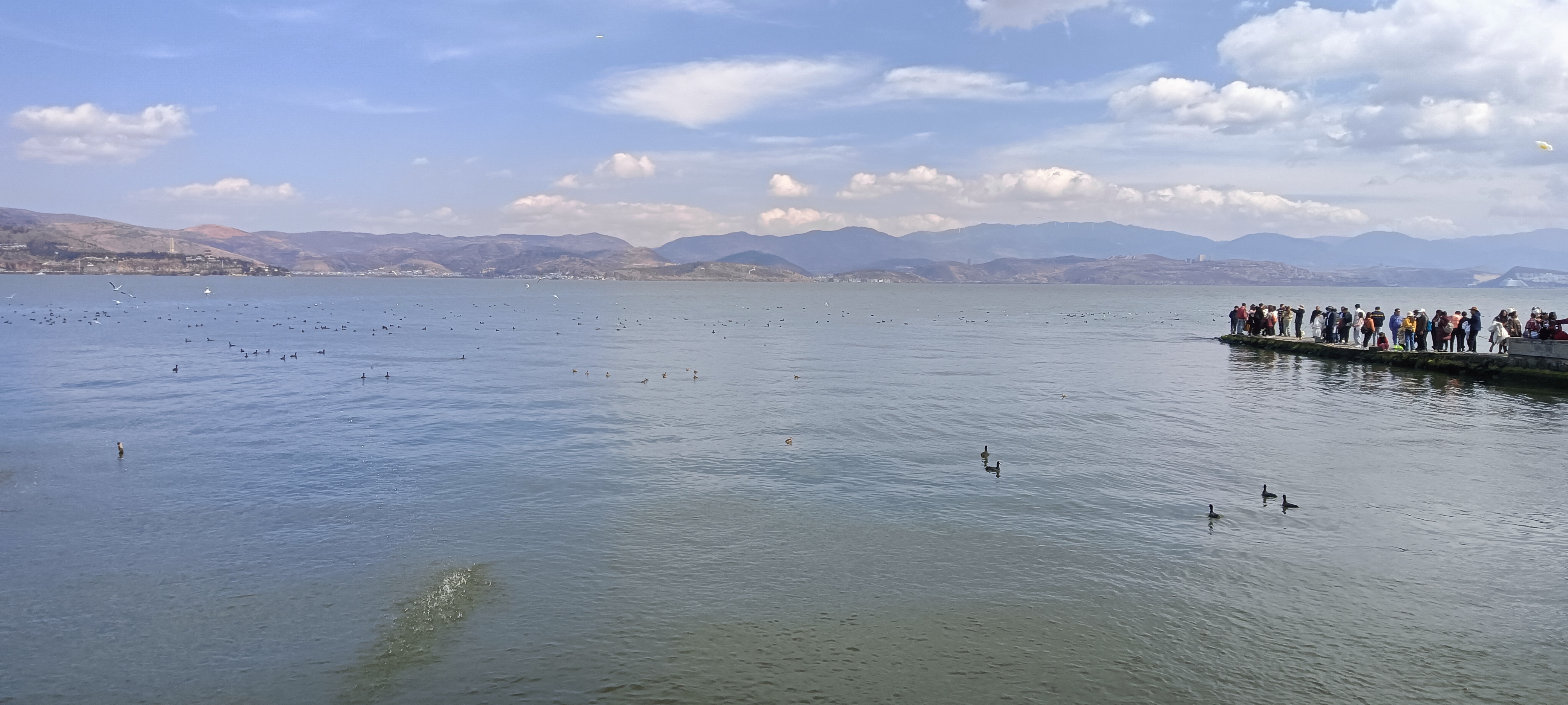 我可以进行一篇翻译