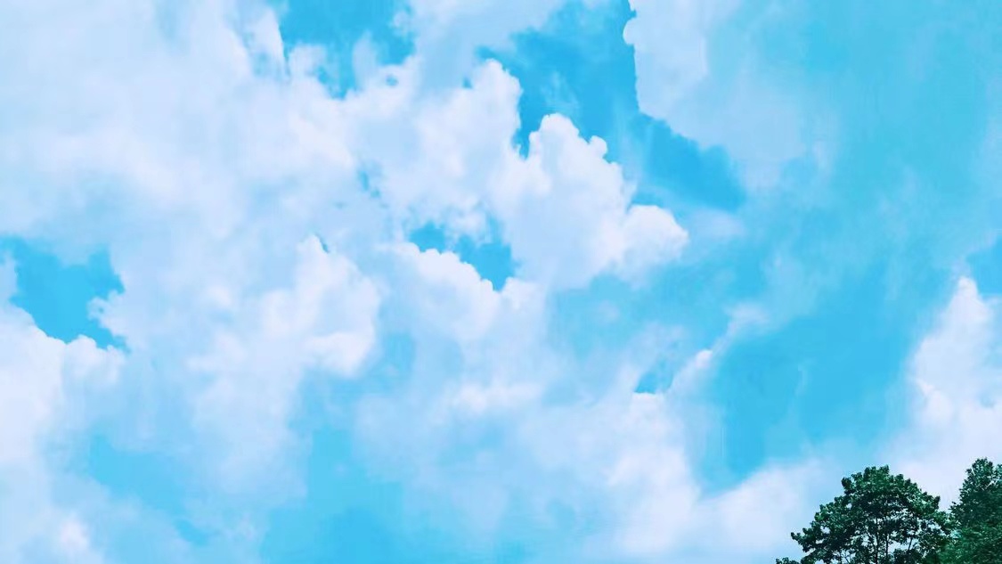 我可以一周上门喂小猫/狗，出门遛狗