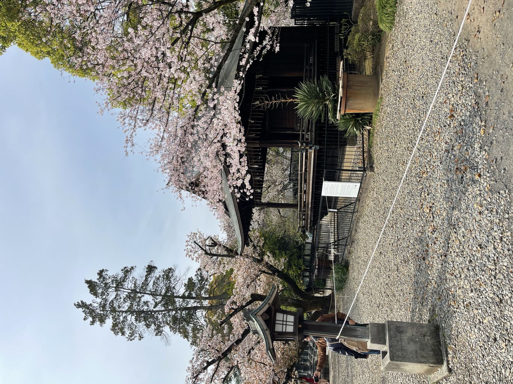 我可以翻译5分钟以内的日语/英语视频