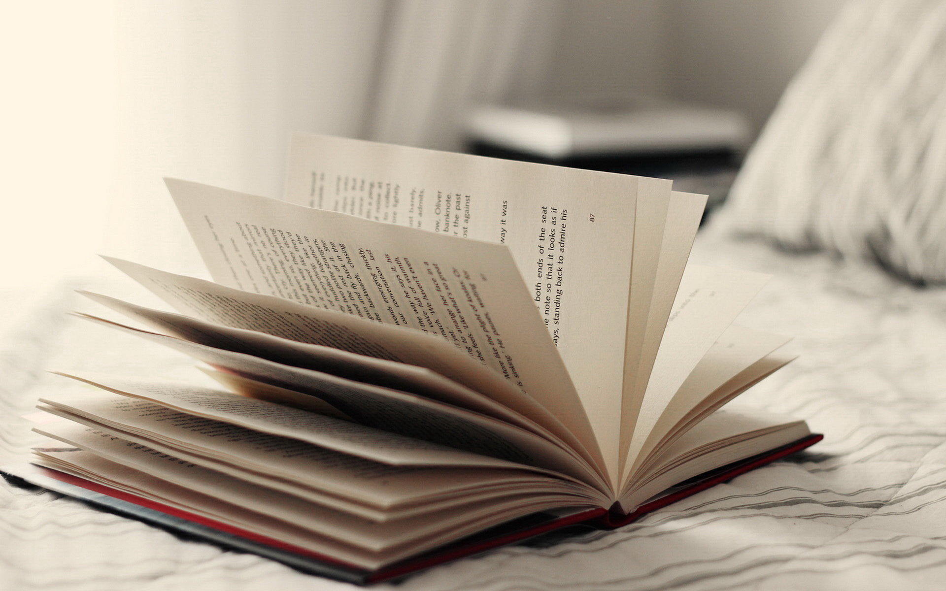 我可以辅导1~9年级（包括初中政治历史地理）的课程