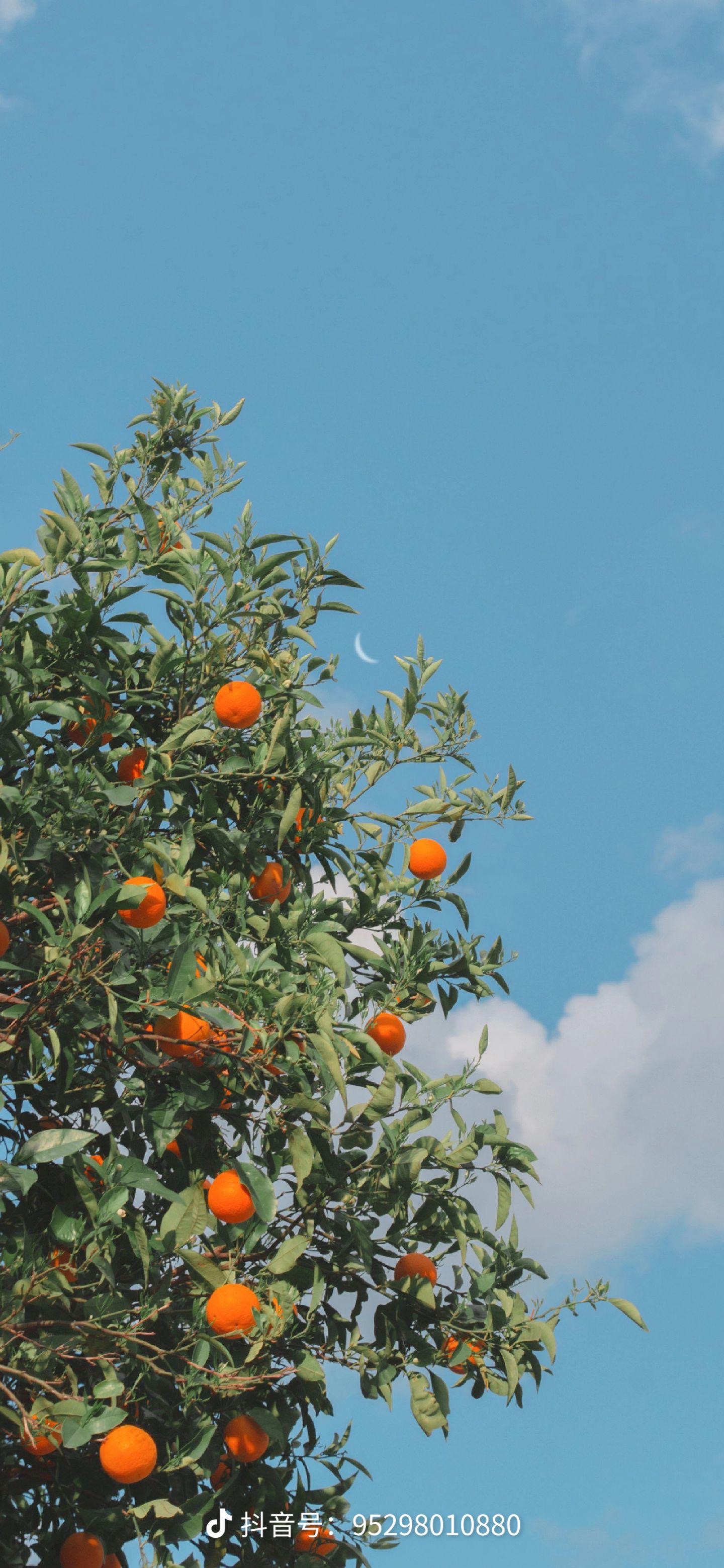 我可以在线1-2小时的辅导伴学，耐心解答，讲解思路。