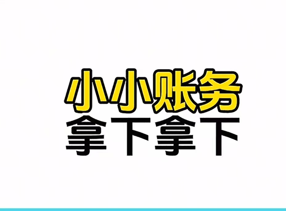 我可以做100多项统计结算，5-6家公司财务咨询