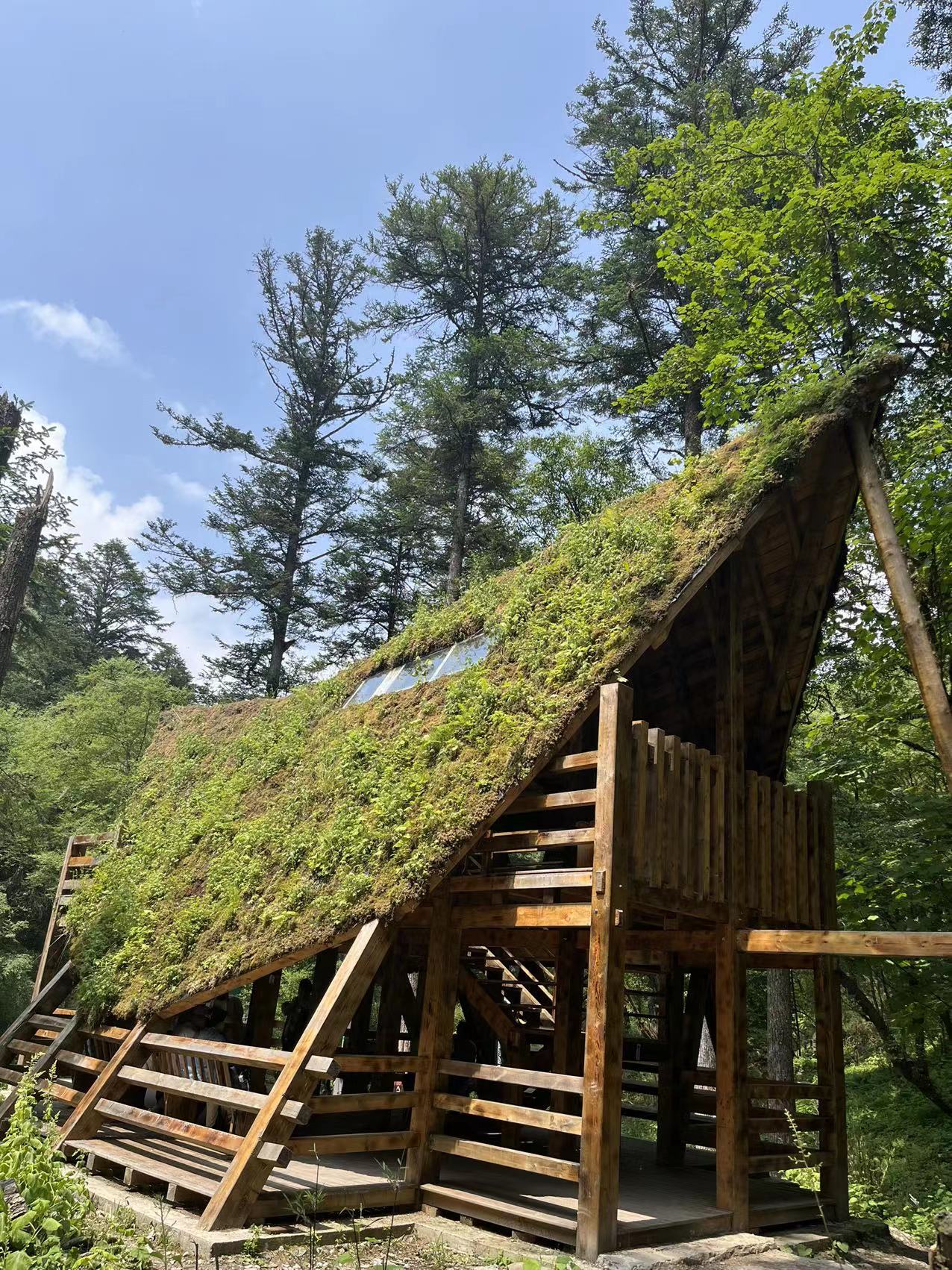 我可以做1份详细的产品咨询和文案编写