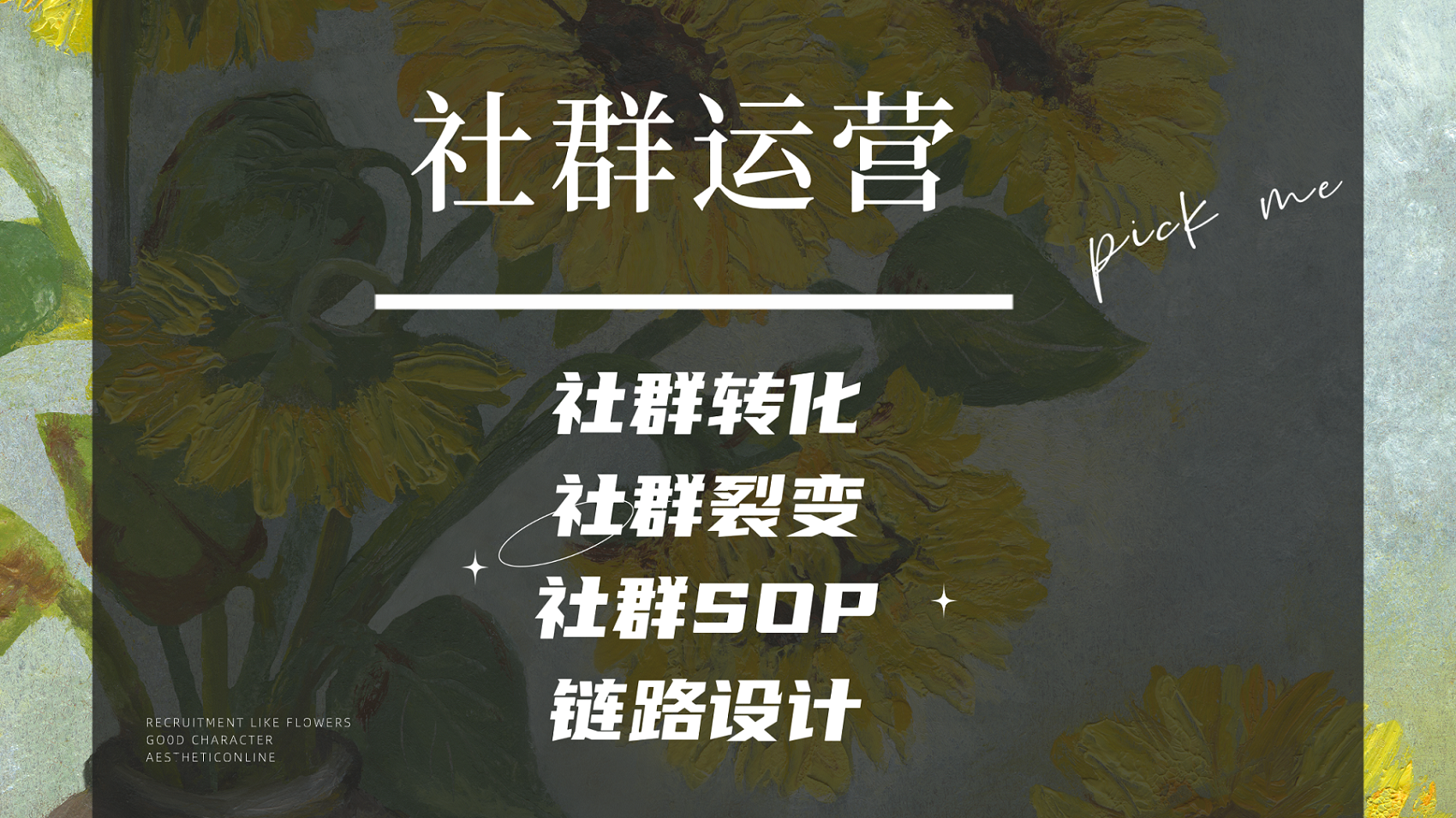 我可以完成私域社群的变现和转化，维护私域社群的粘性，社群转化率在3%-5%以上