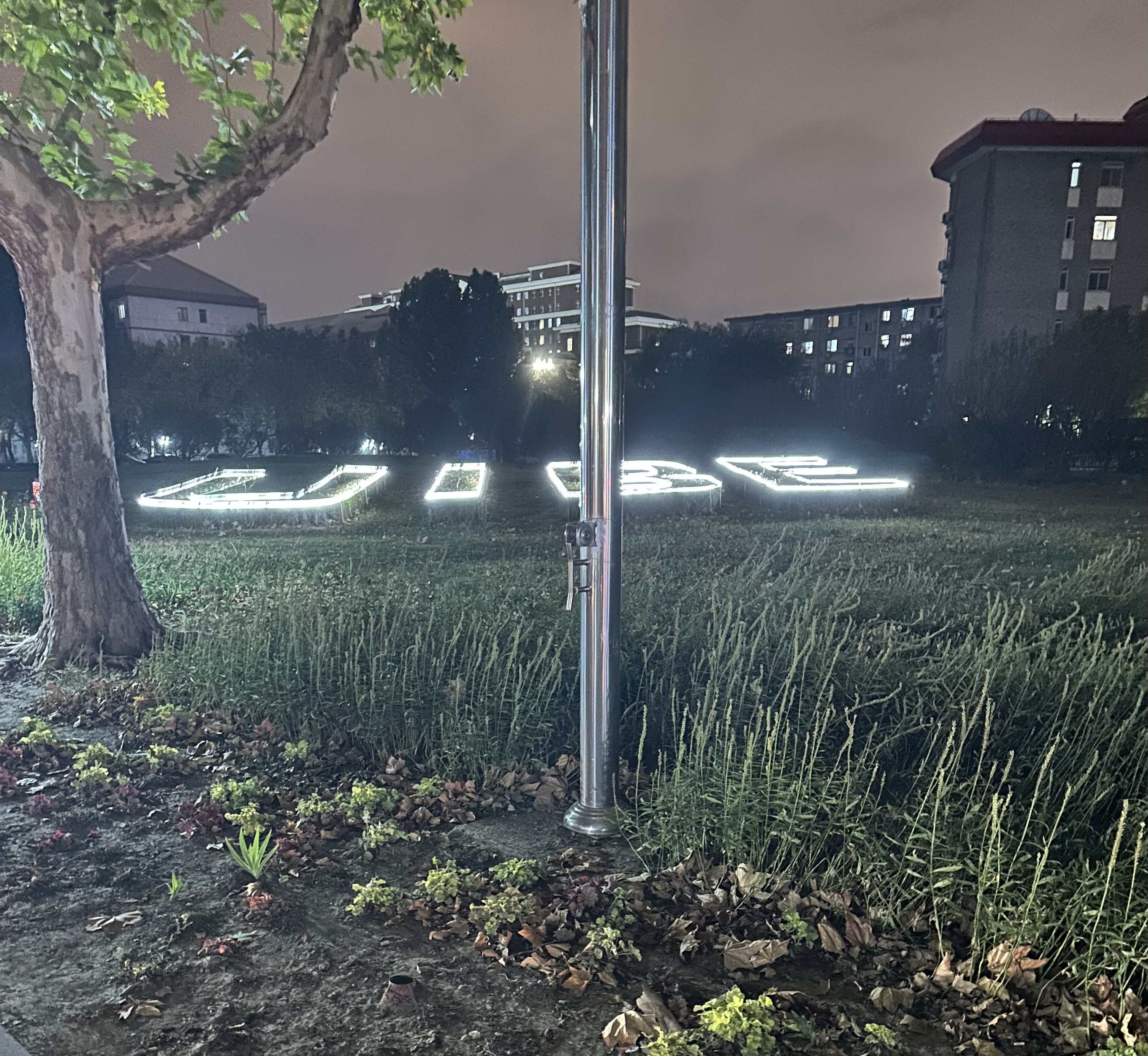 我可以15秒短视频翻译