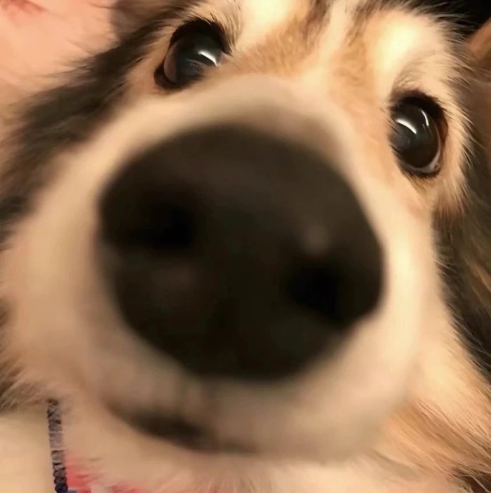 我可以陪玩一个小时