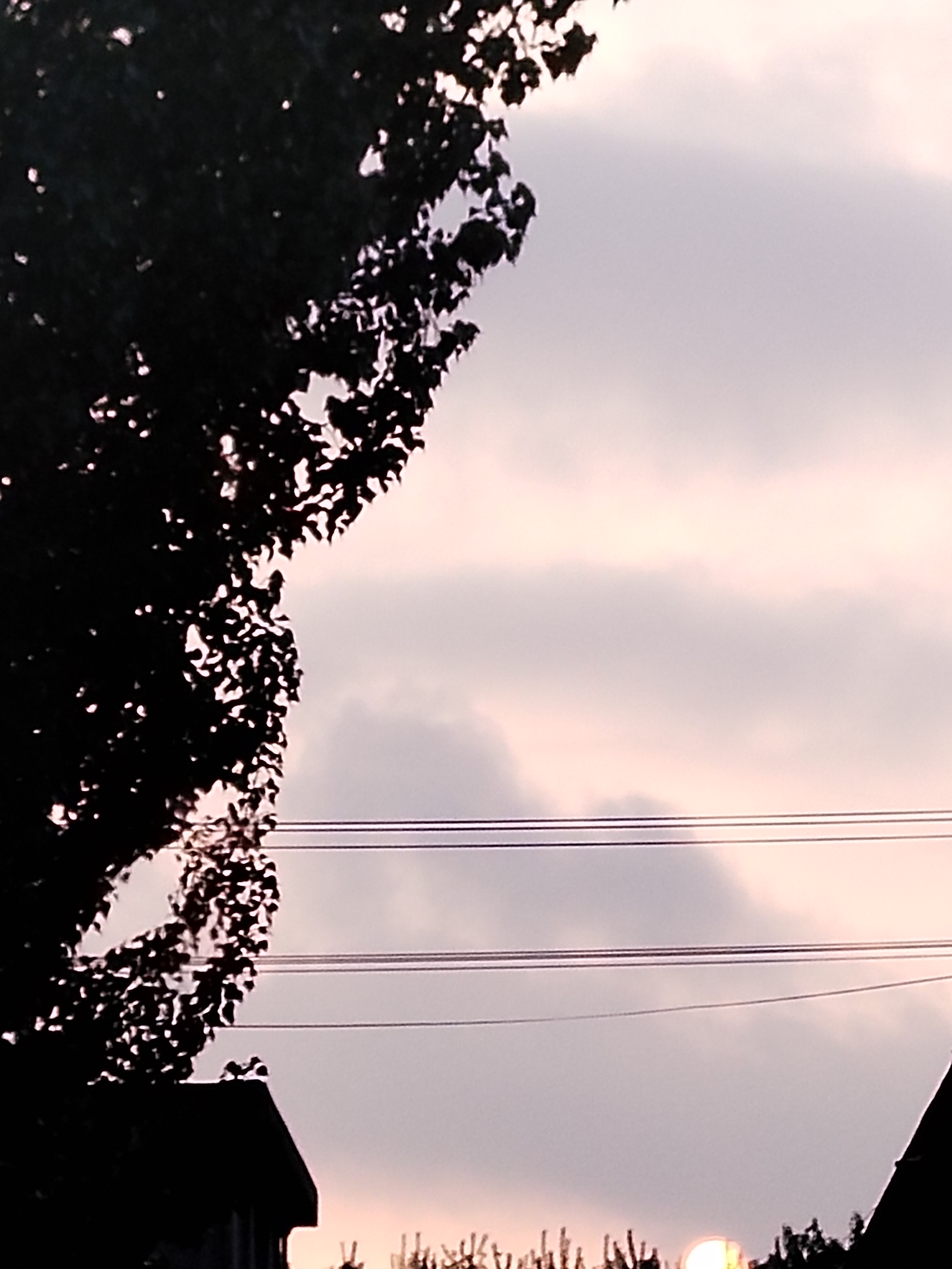 我可以完成批改作业15秒视频，1张海报，500字文章等