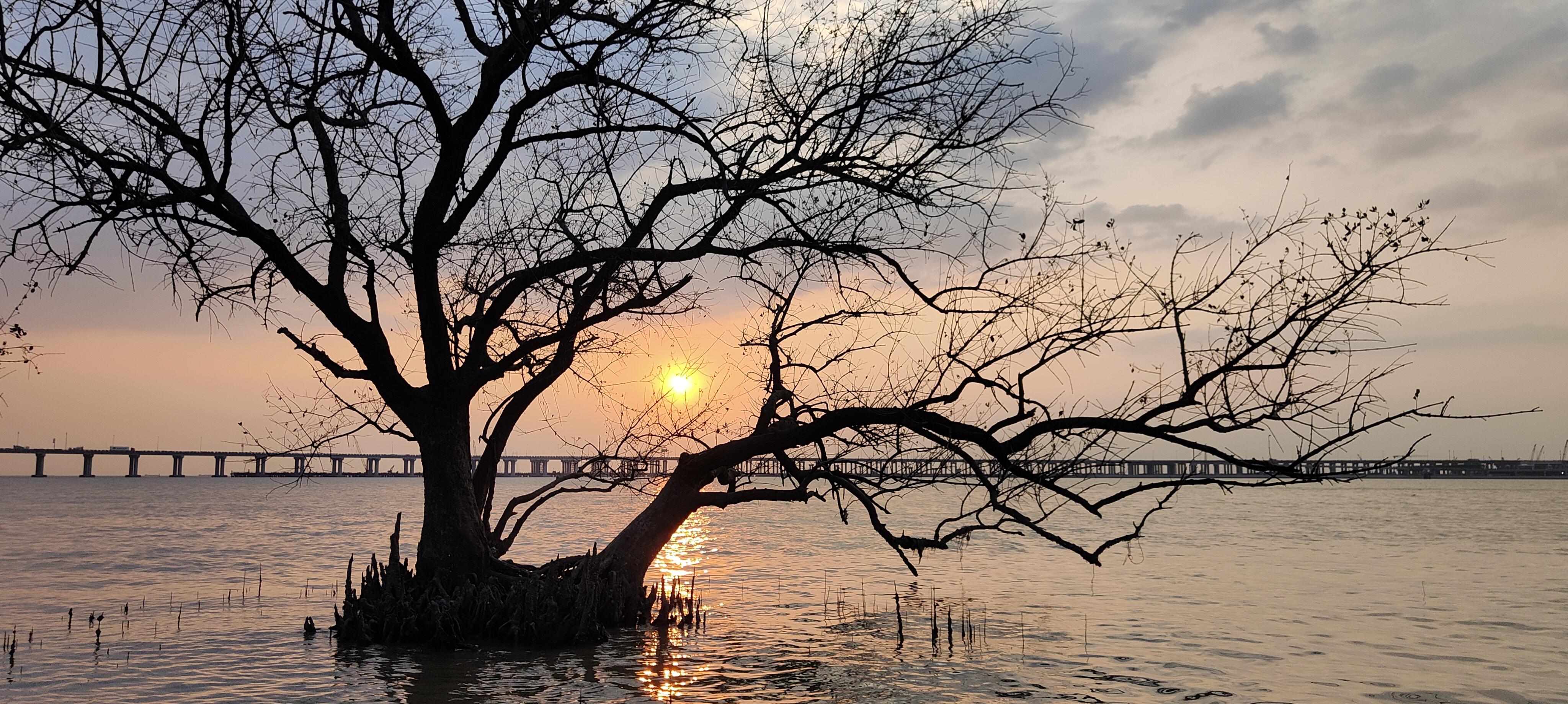 我可以完成2个功能的测试用例撰写！