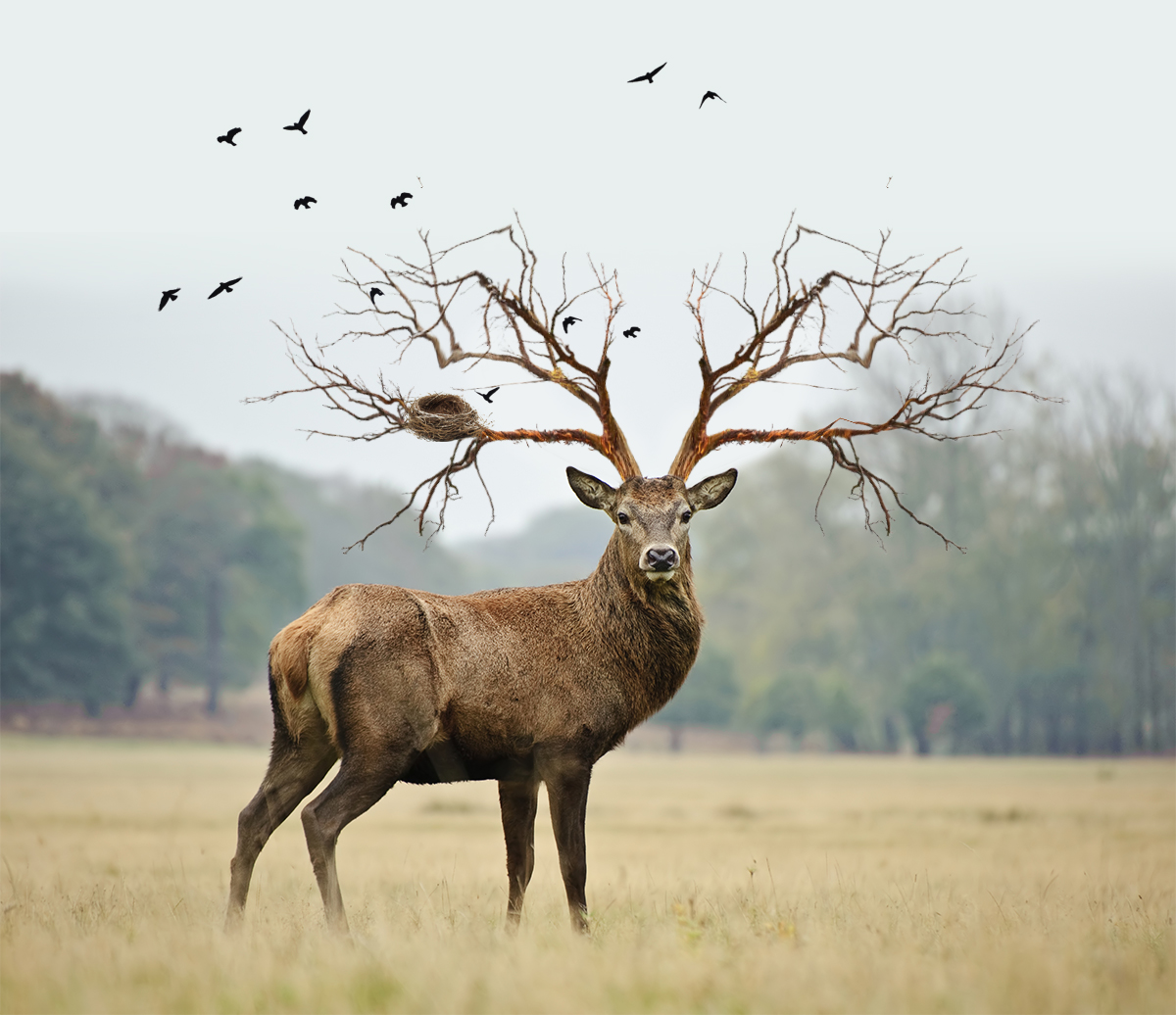 我可以一句文案，一张海报，ppt制作，文章写作