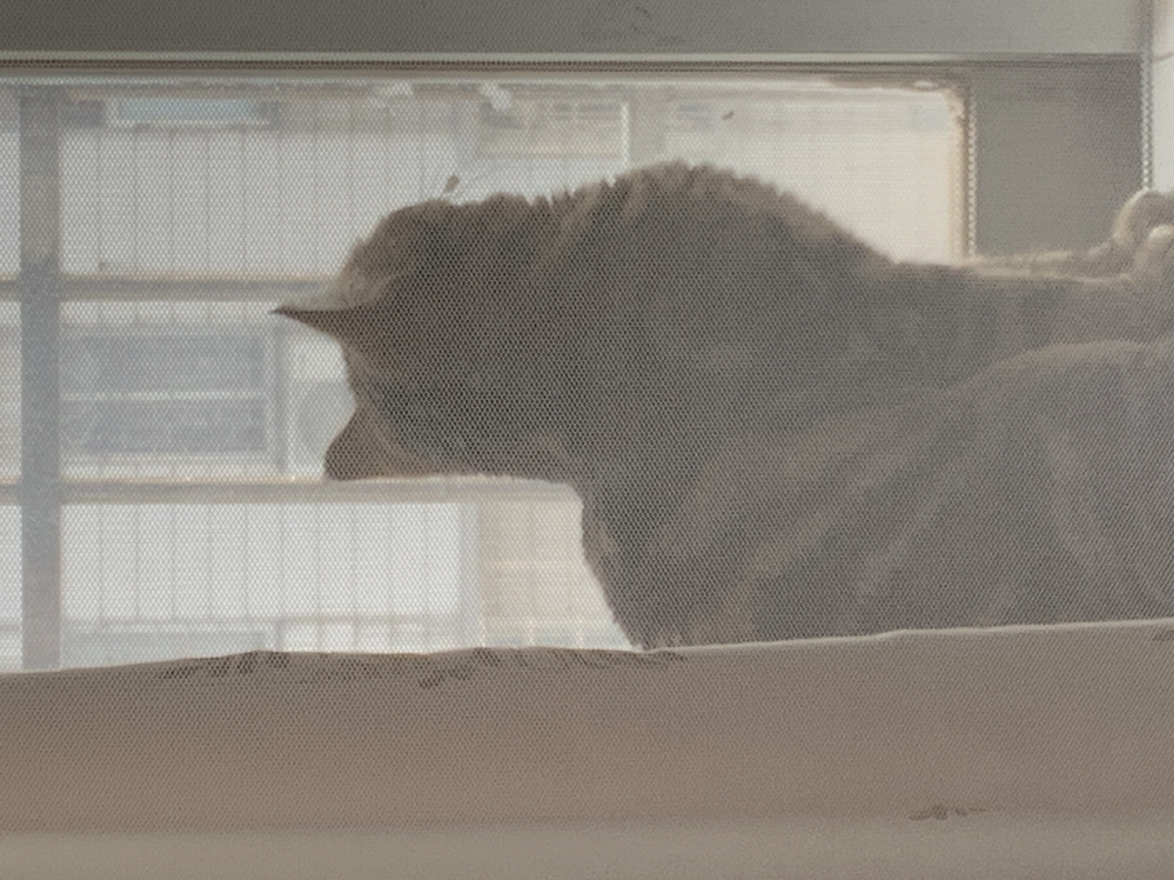 我可以完成完整一套的室内建筑设计深化图