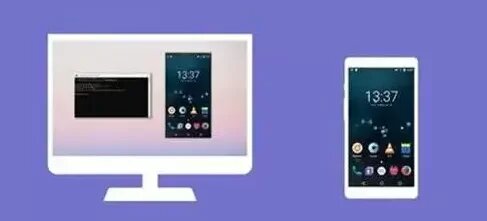 我可以完成一个软件开发项目