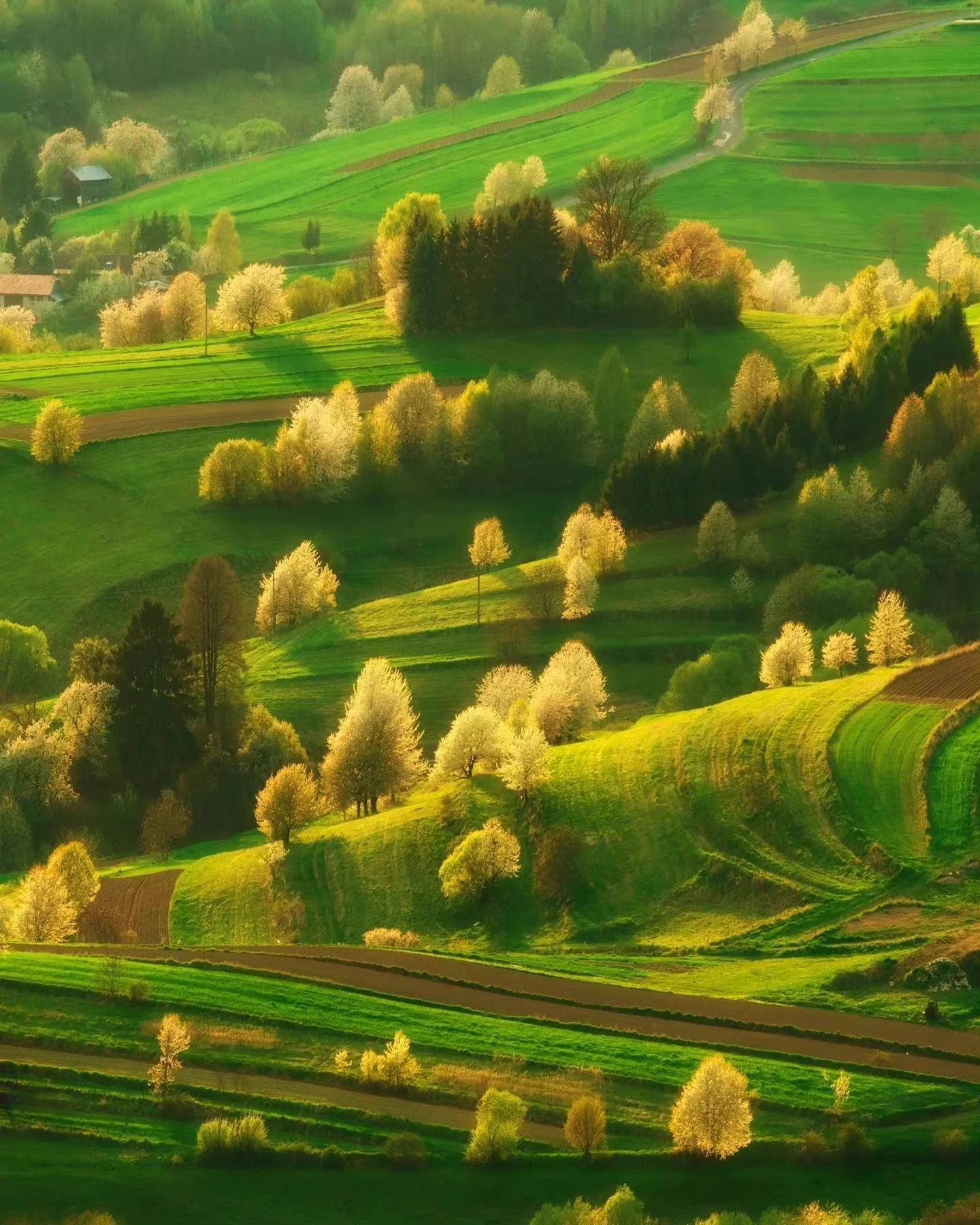 我可以咨询情感问题1小时，剖析烦恼的根本，帮助你洞悉他人目的，摆脱眼前困境