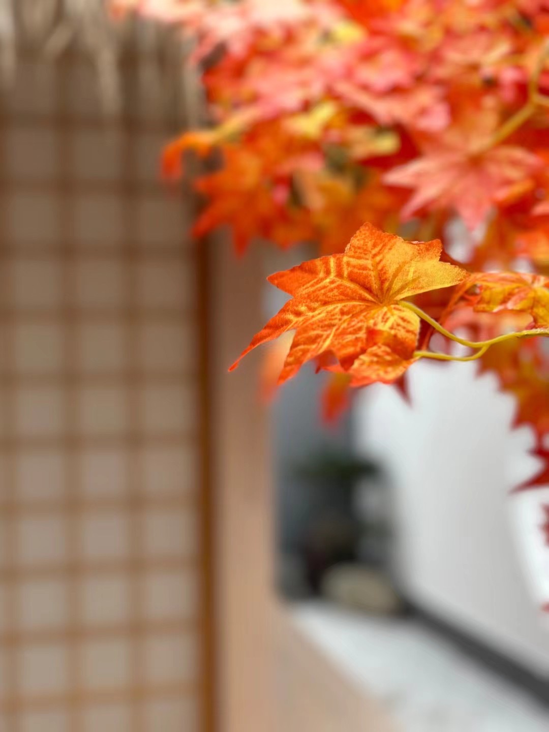 我可以短视频制作、5000字内文案撰写、编辑、摄影等