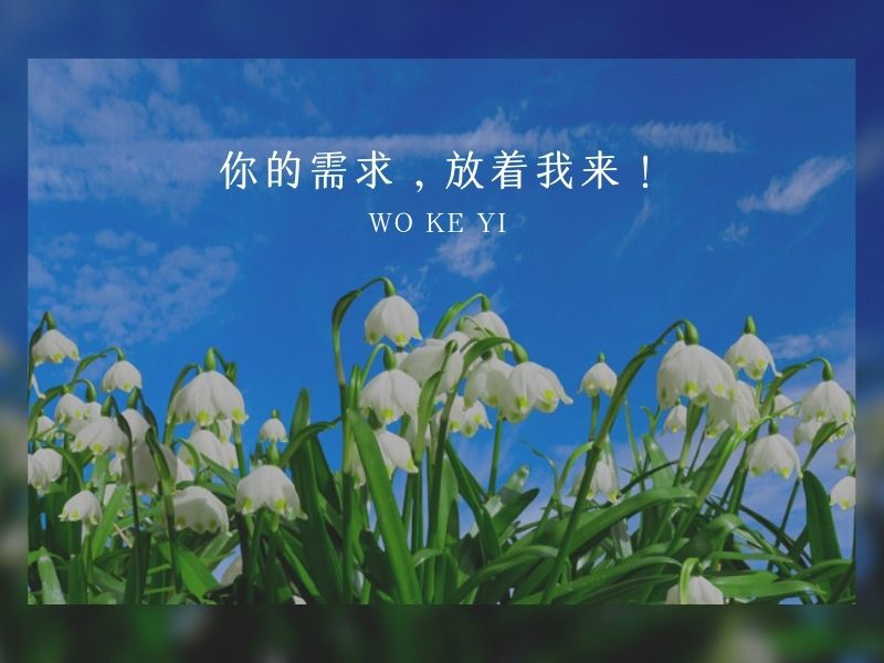 我可以完成一份优质的方案写作，并在1天内交付