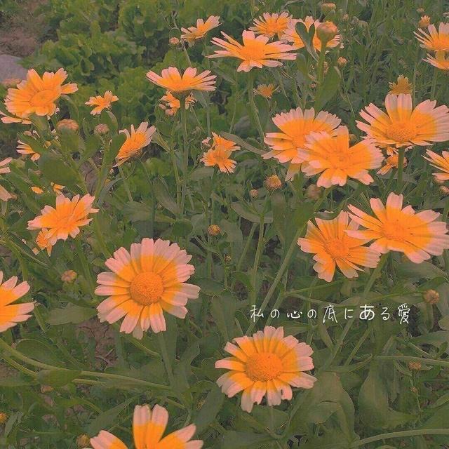 我可以倾听你的烦恼，用100%的耐心分担你的不开心