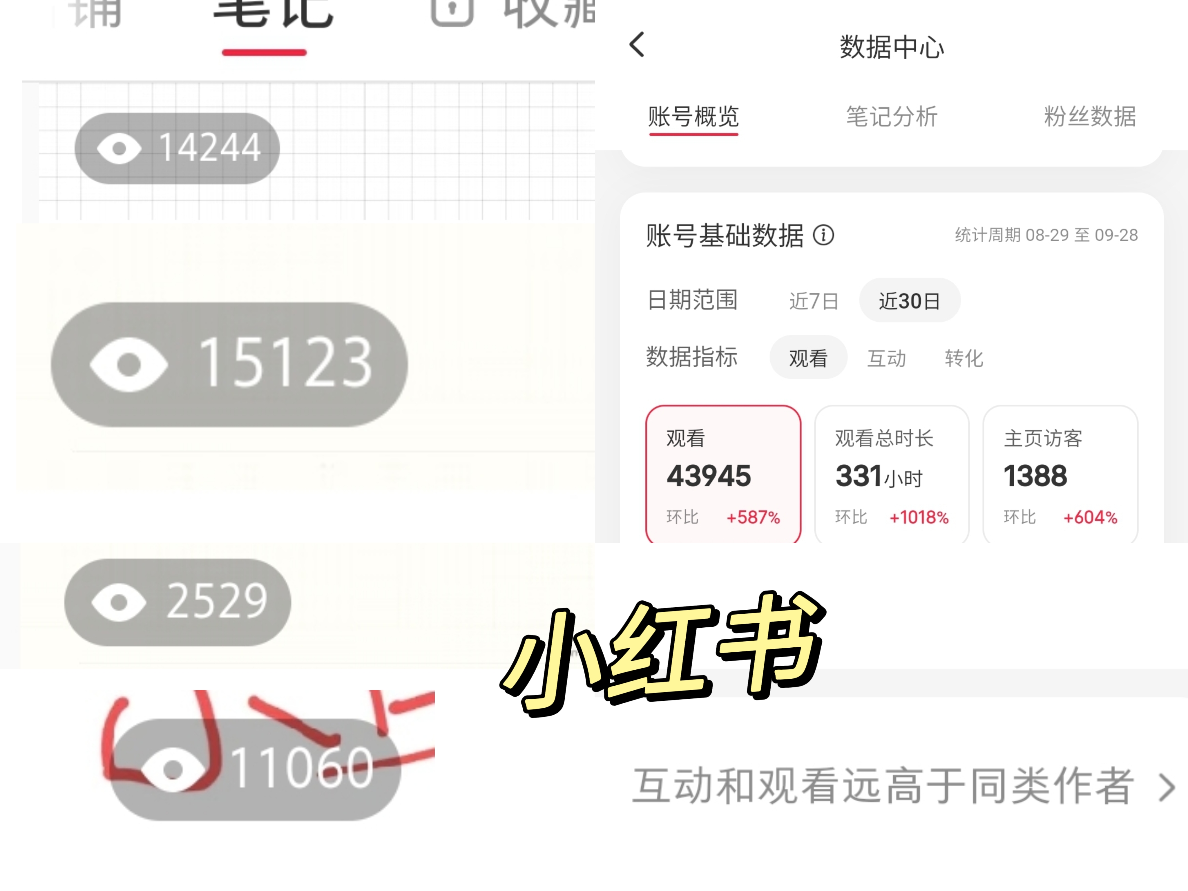 我可以运营1个小红书账号，房子类的，食品类的，小物品类的，旅游类的。可以提供做过的案例账号看