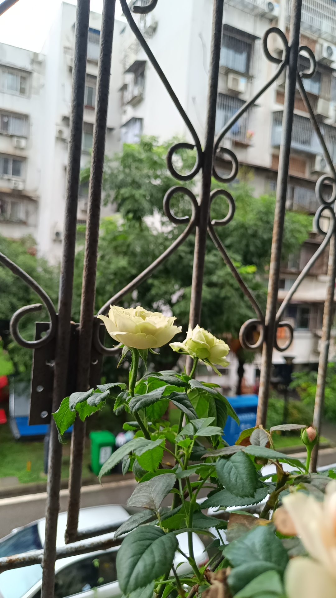 我可以做营销数据分析，总结其中的规律，将成果用至少15页PPT呈现，形成汇报用的材料。