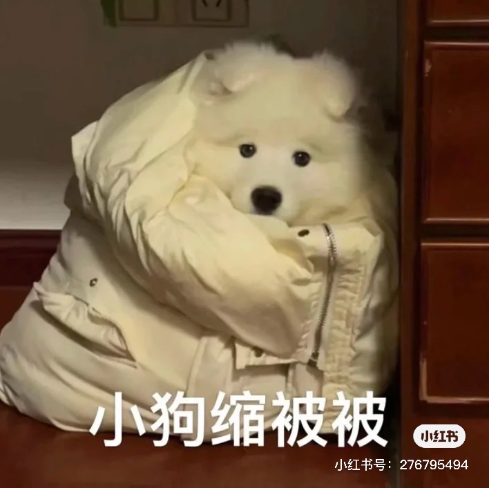 我可以进行5分钟音视频剪辑翻译校对