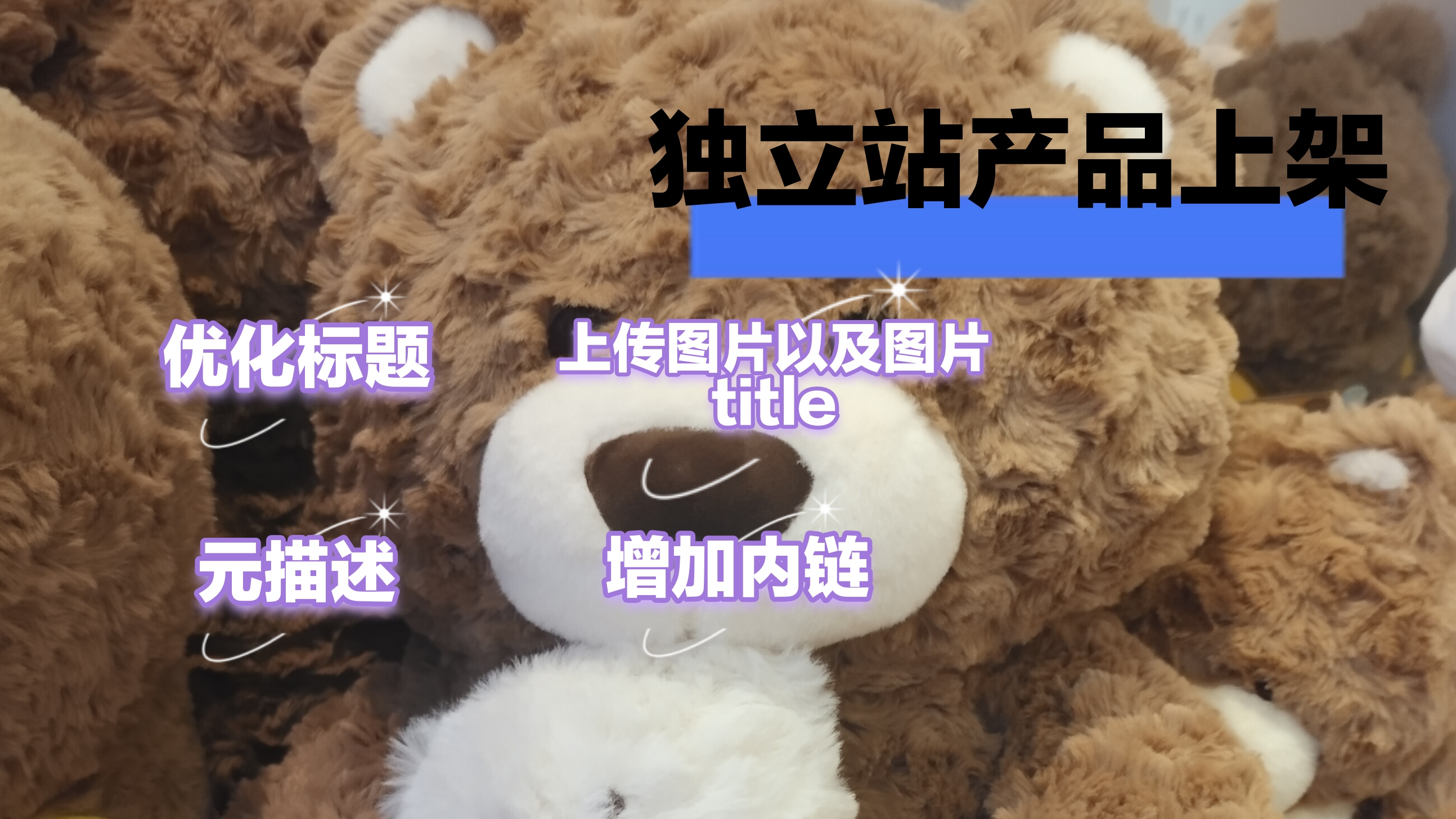 我可以完成独立站运营的10个产品文章上架，以及标题优化