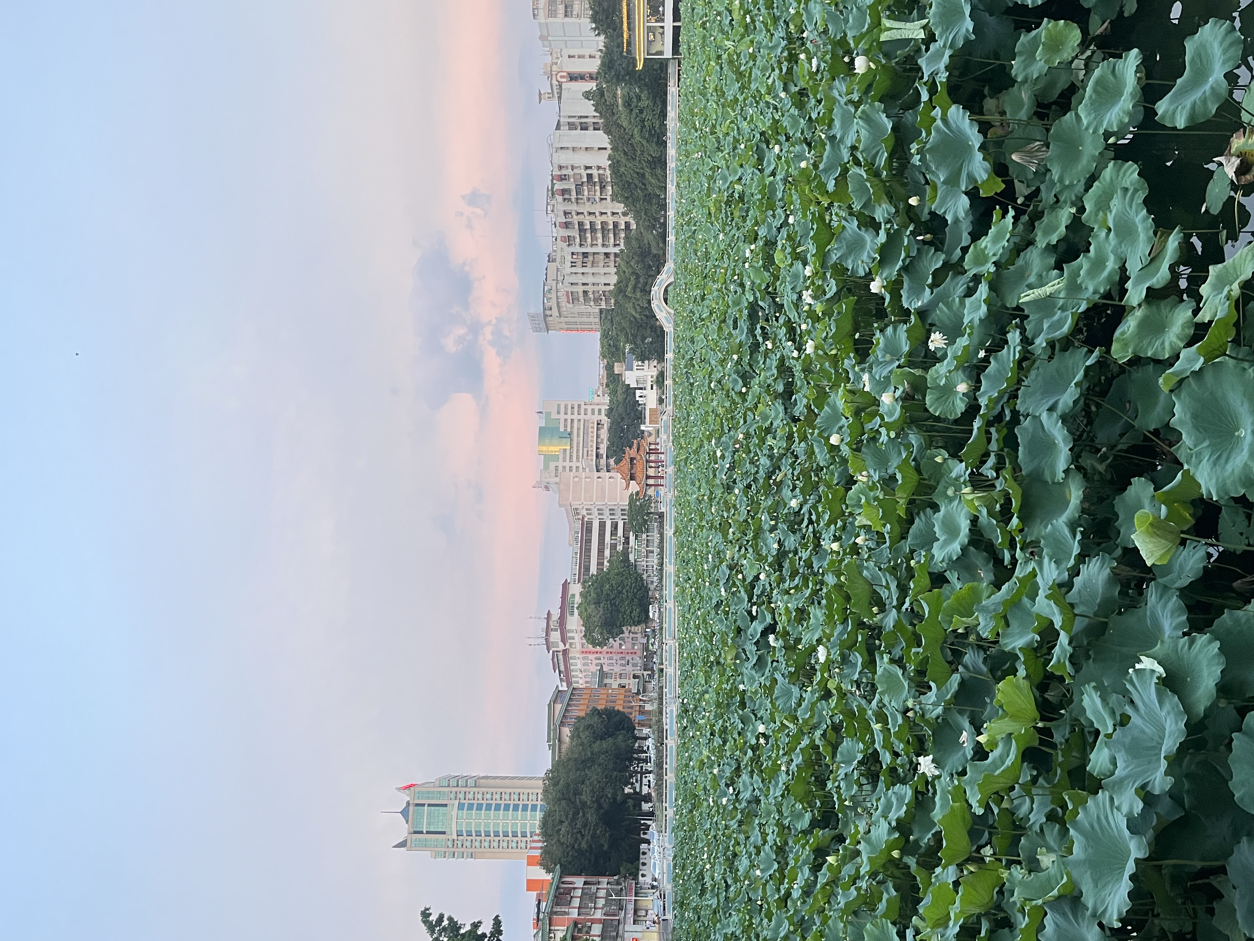 我可以输出1原型，撰写prd文档