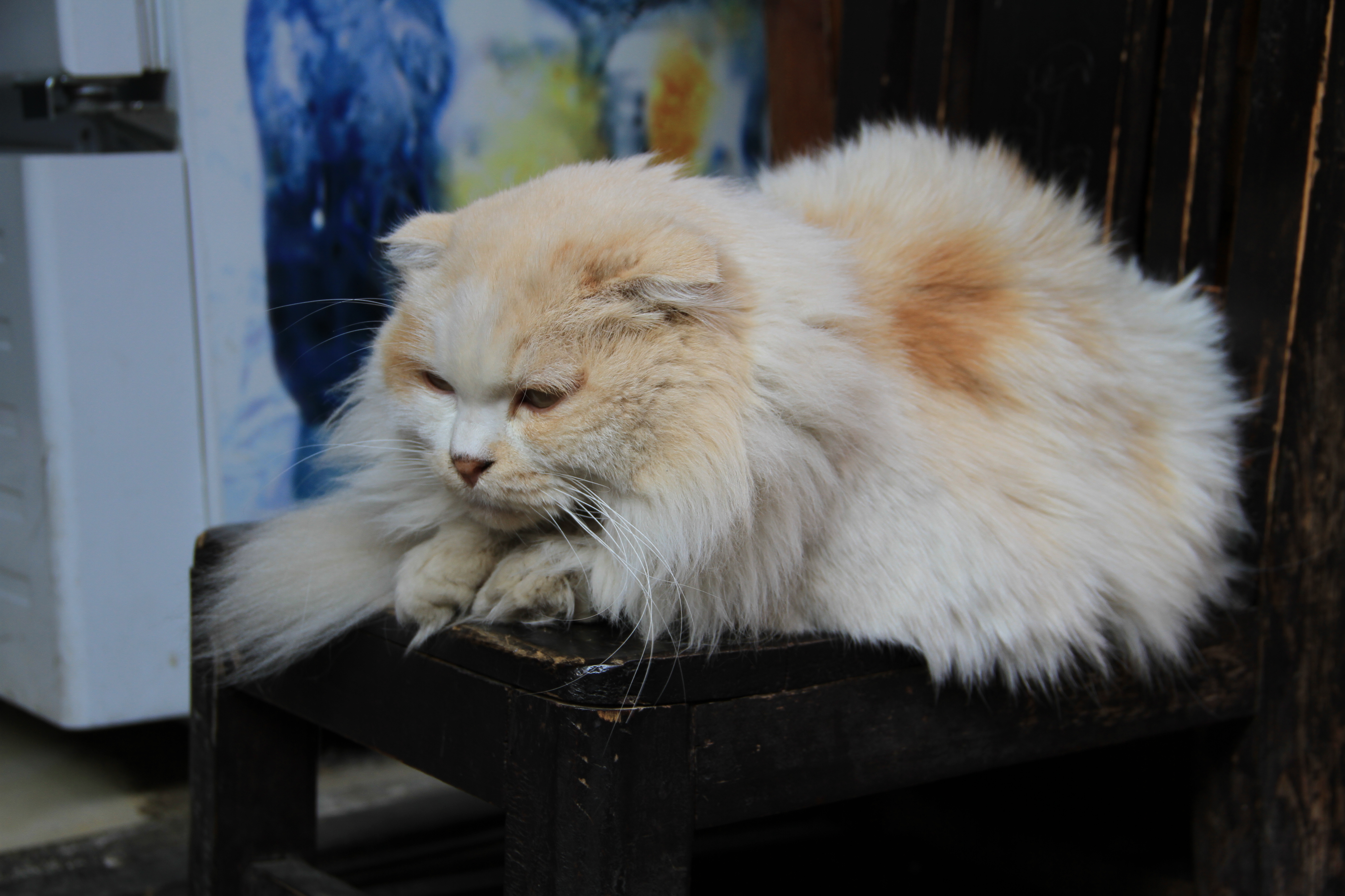 我可以剪辑60s左右视频，1000字文章