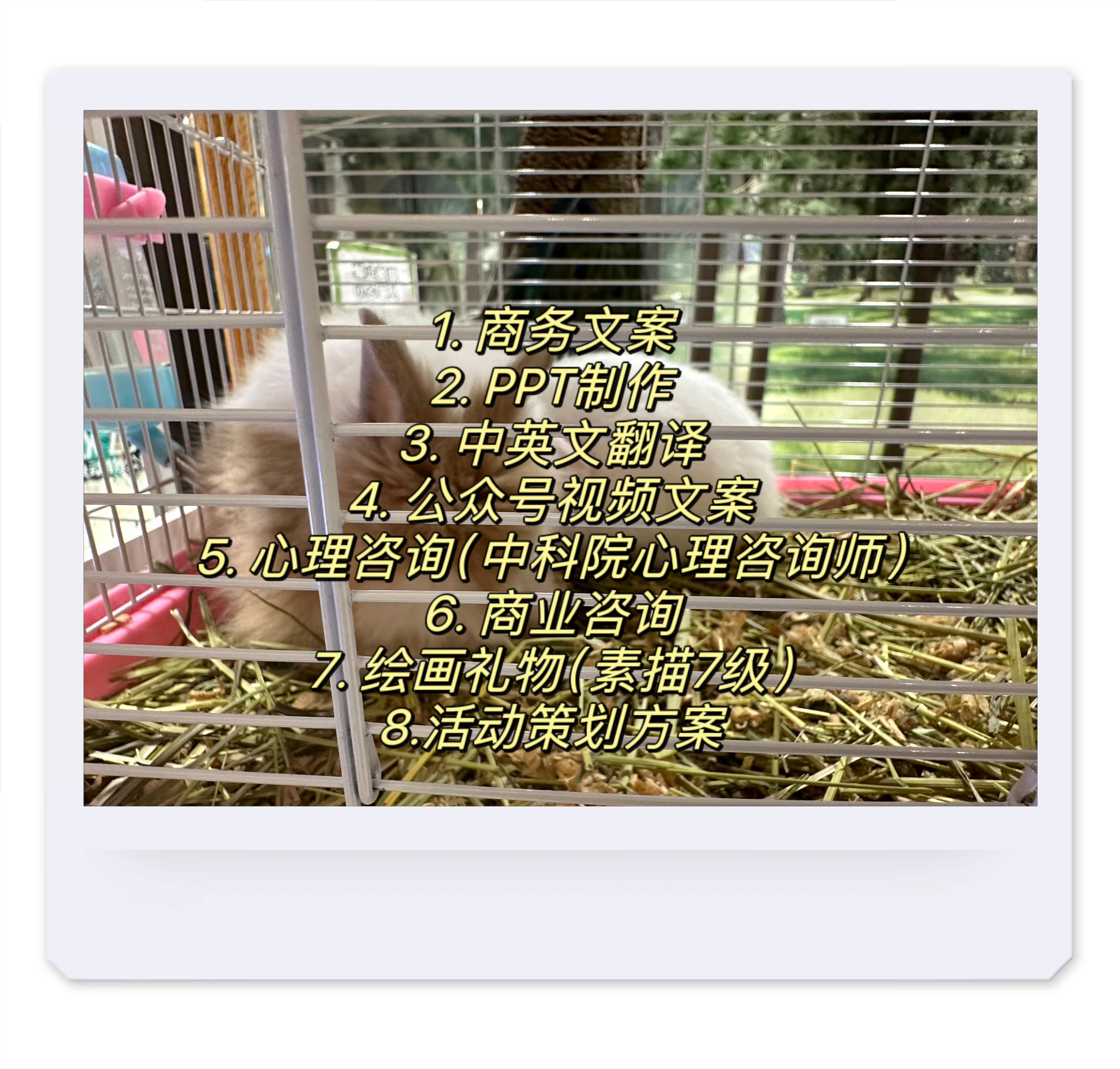 我可以帮你画一幅你构想的流程图